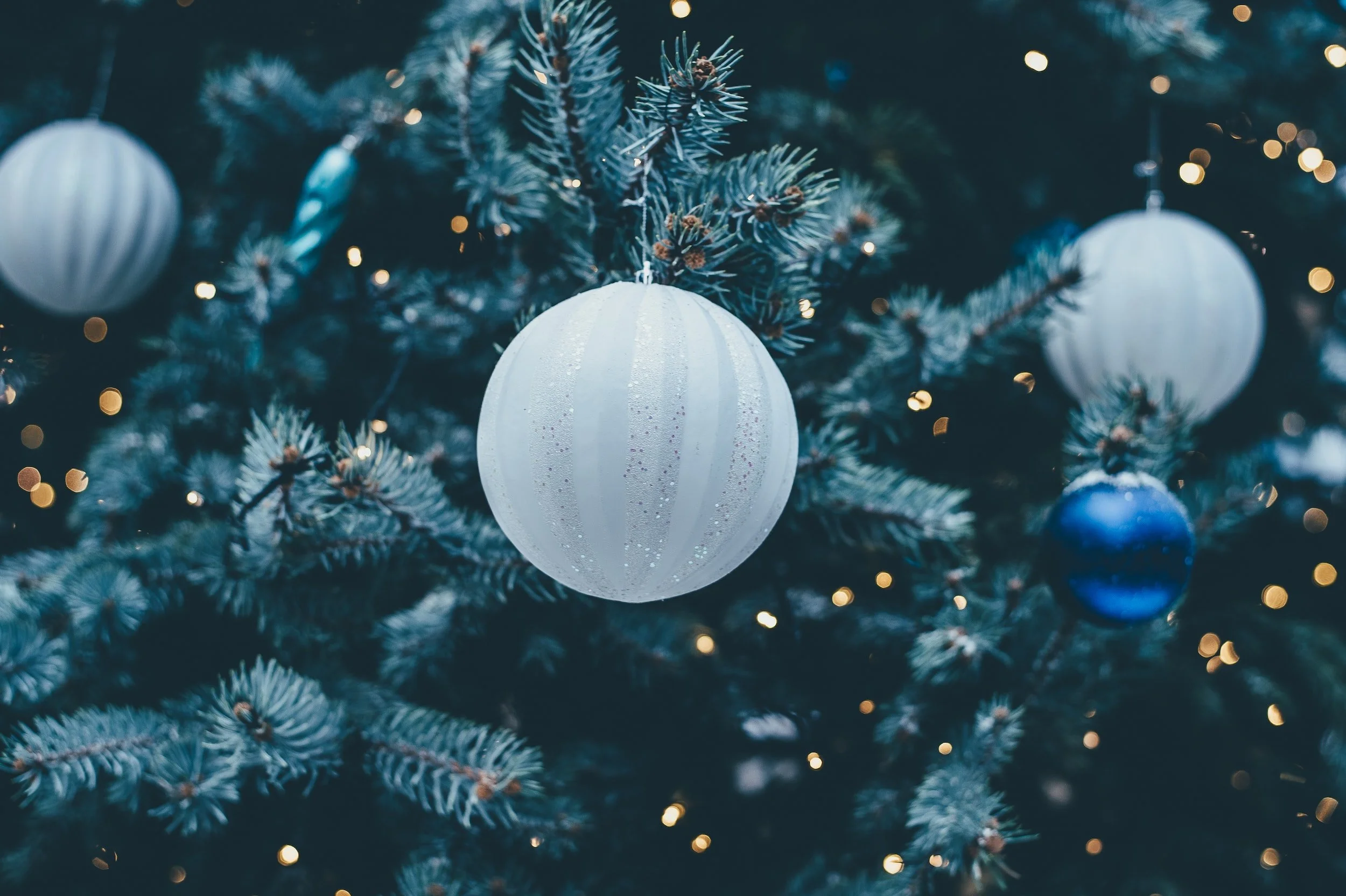 Christmas Gathering