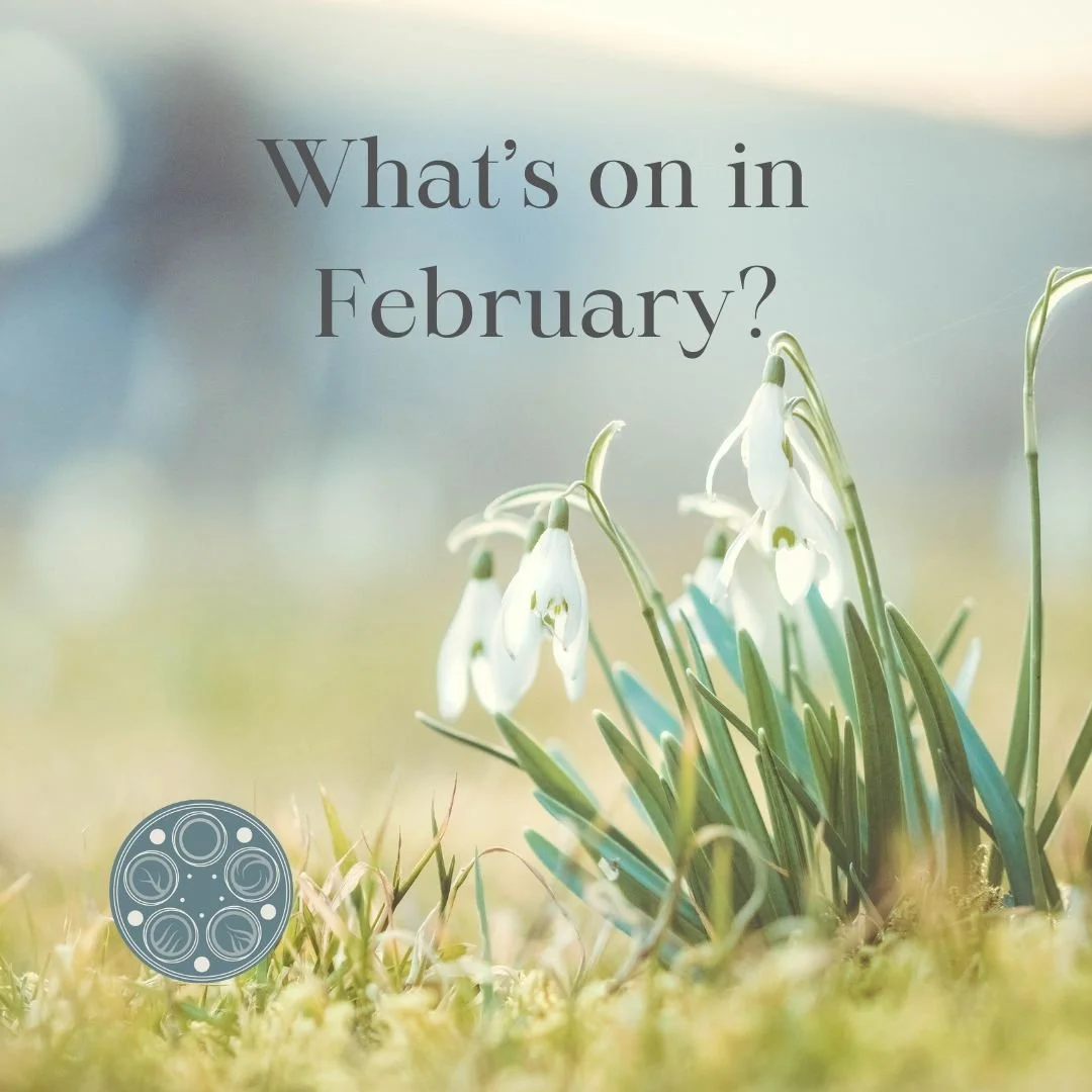 What's on in February