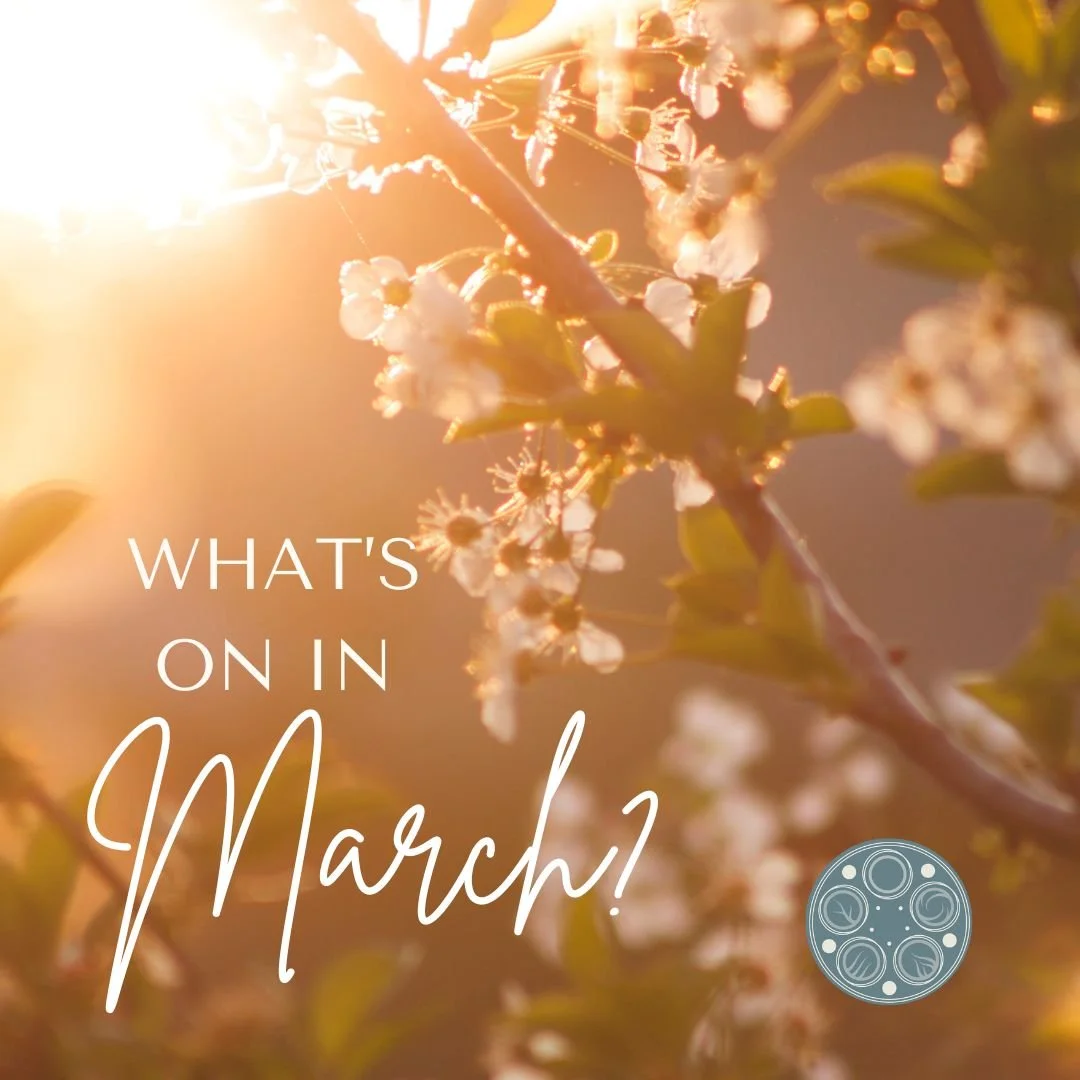 What's on in March?