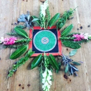 Super Saturday spring/summer sessions are back in-person. New Venue!