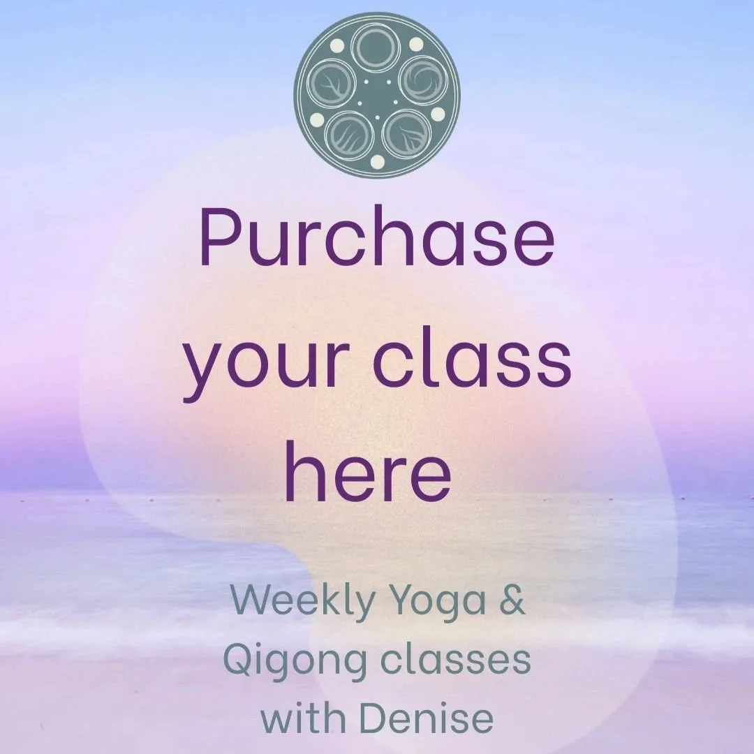 purchase+your+class+icon.jpg