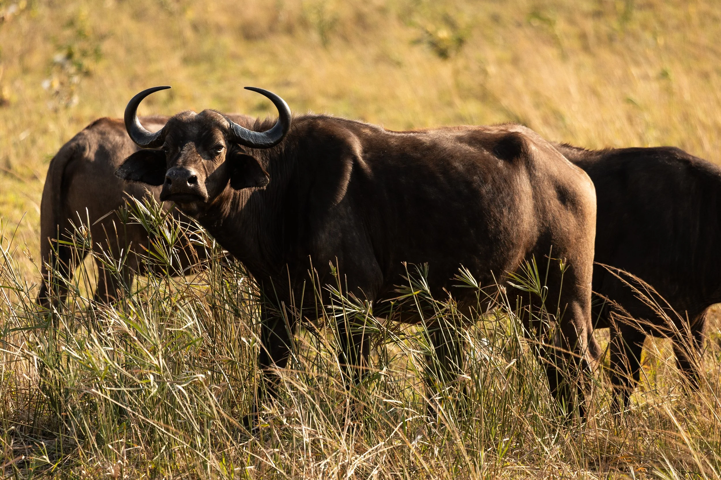 Zuid Afrika grand tour 2026-90.jpg
