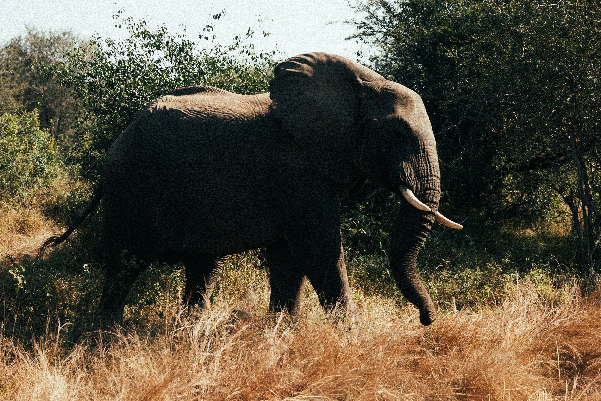 Zuid Afrika grand tour 2026-65.jpg