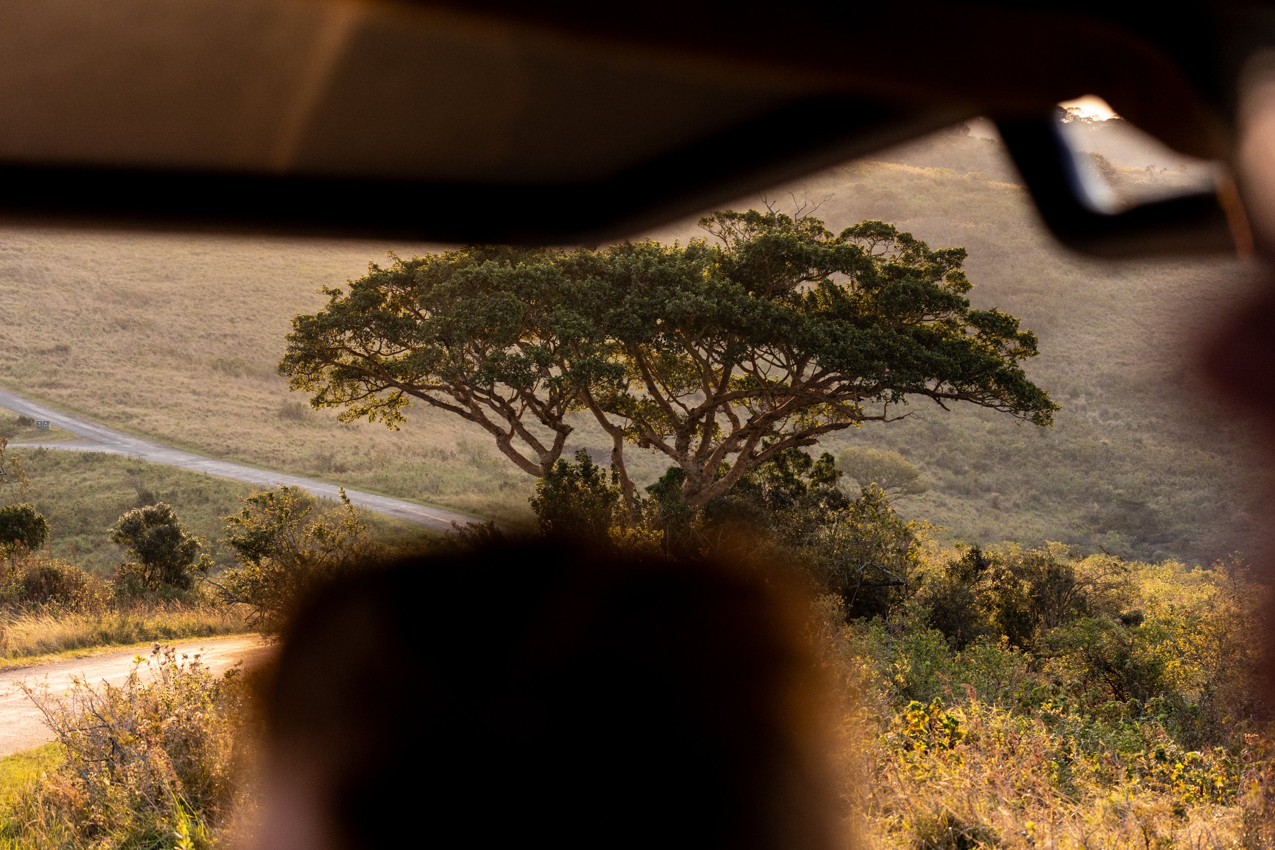 Zuid Afrika grand tour 2026-113.jpg