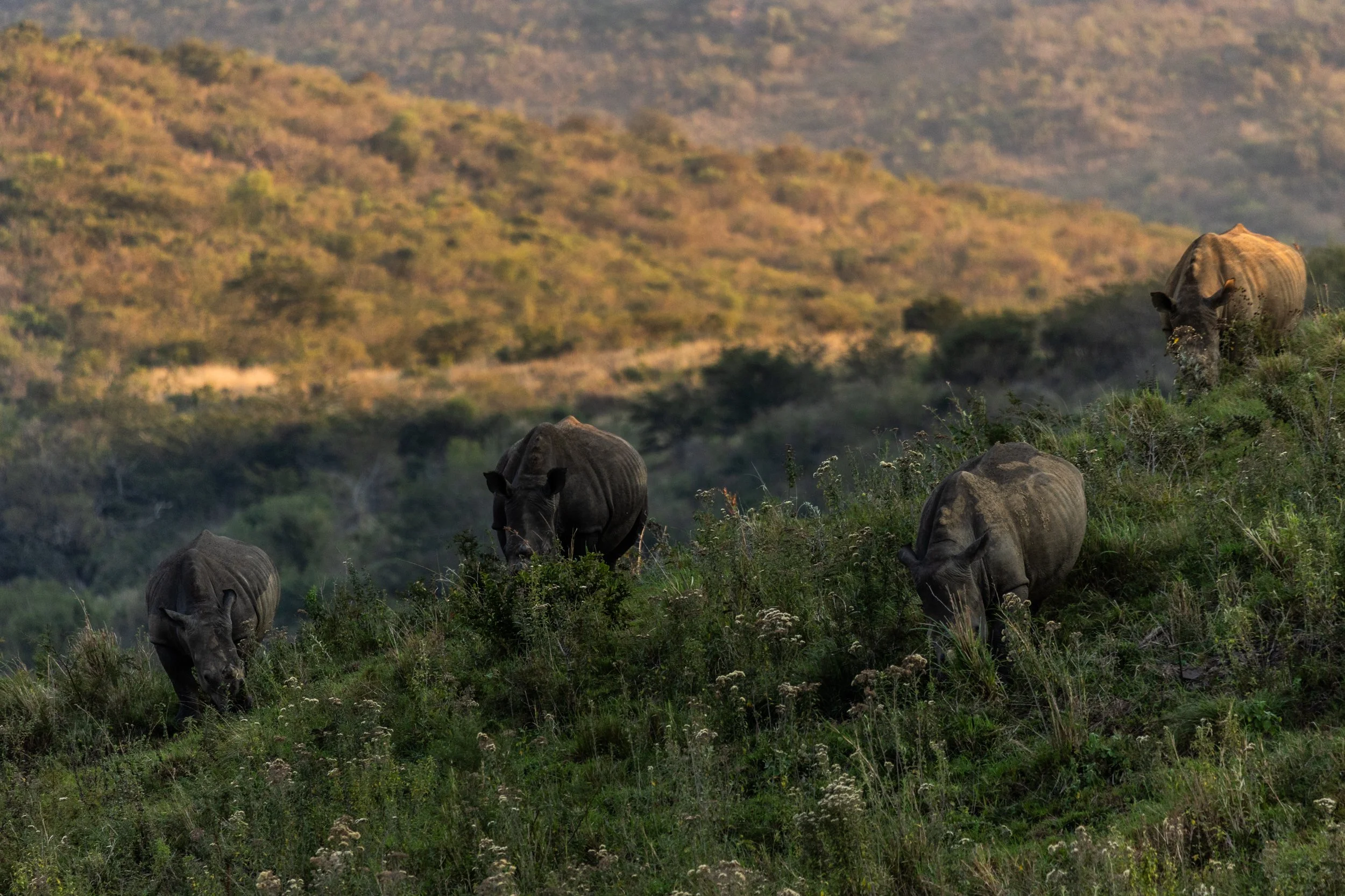 Zuid Afrika grand tour 2026-111.jpg