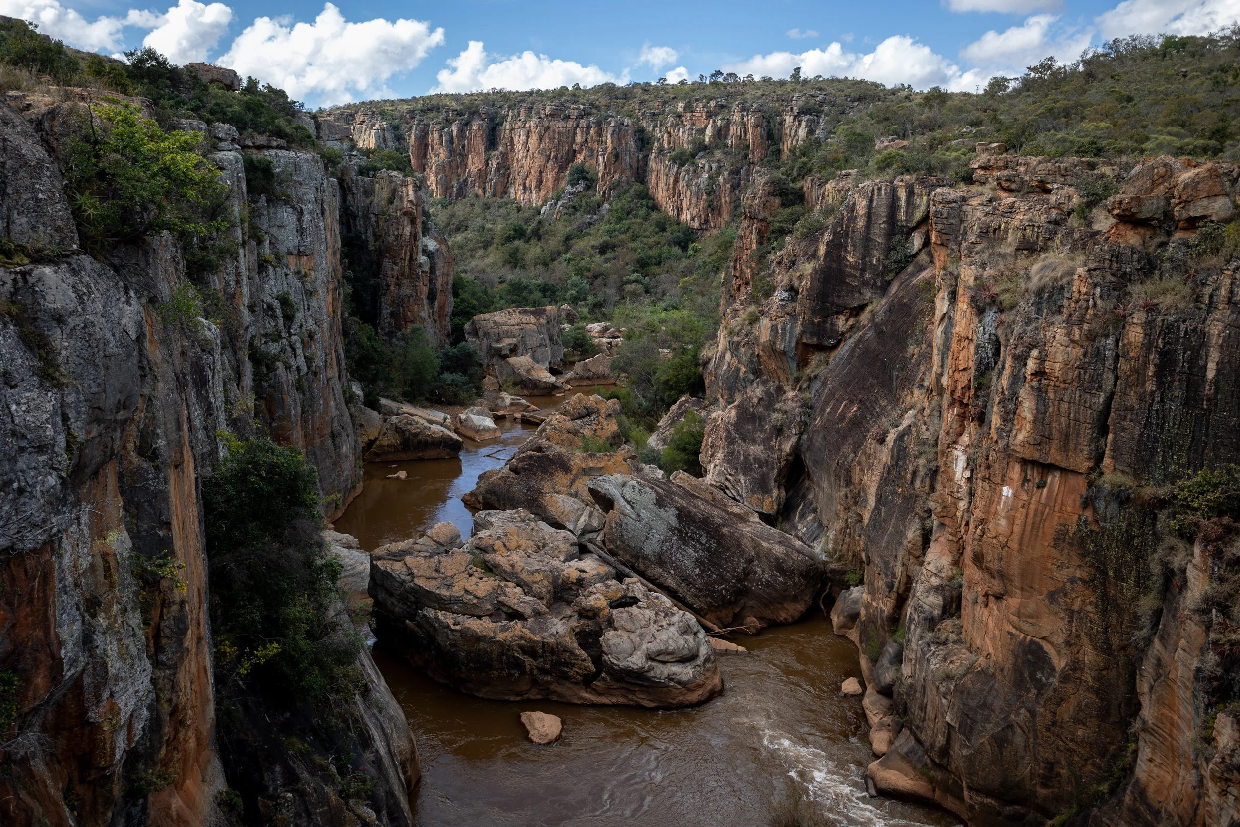 Zuid Afrika grand tour 2026-32.jpg