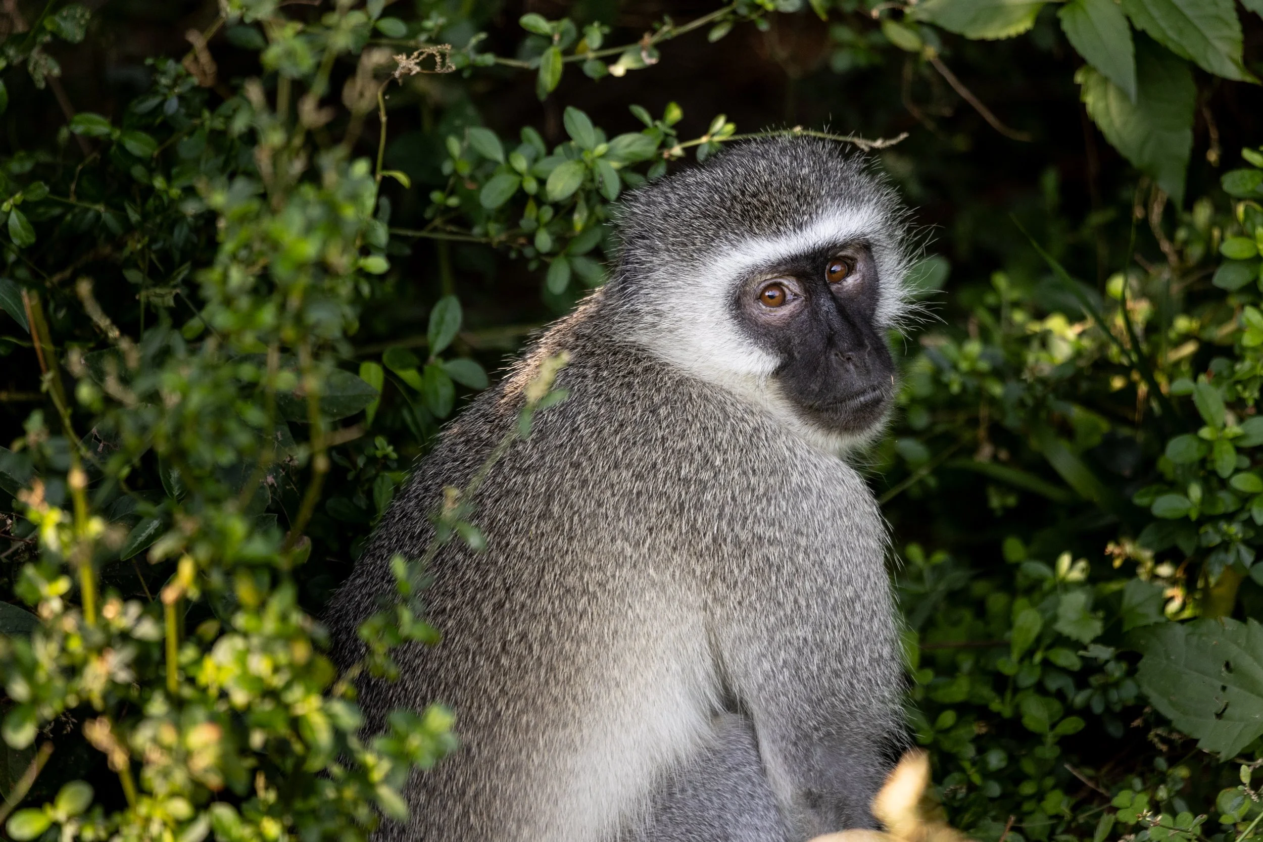 Zuid Afrika grand tour 2026-163.jpg