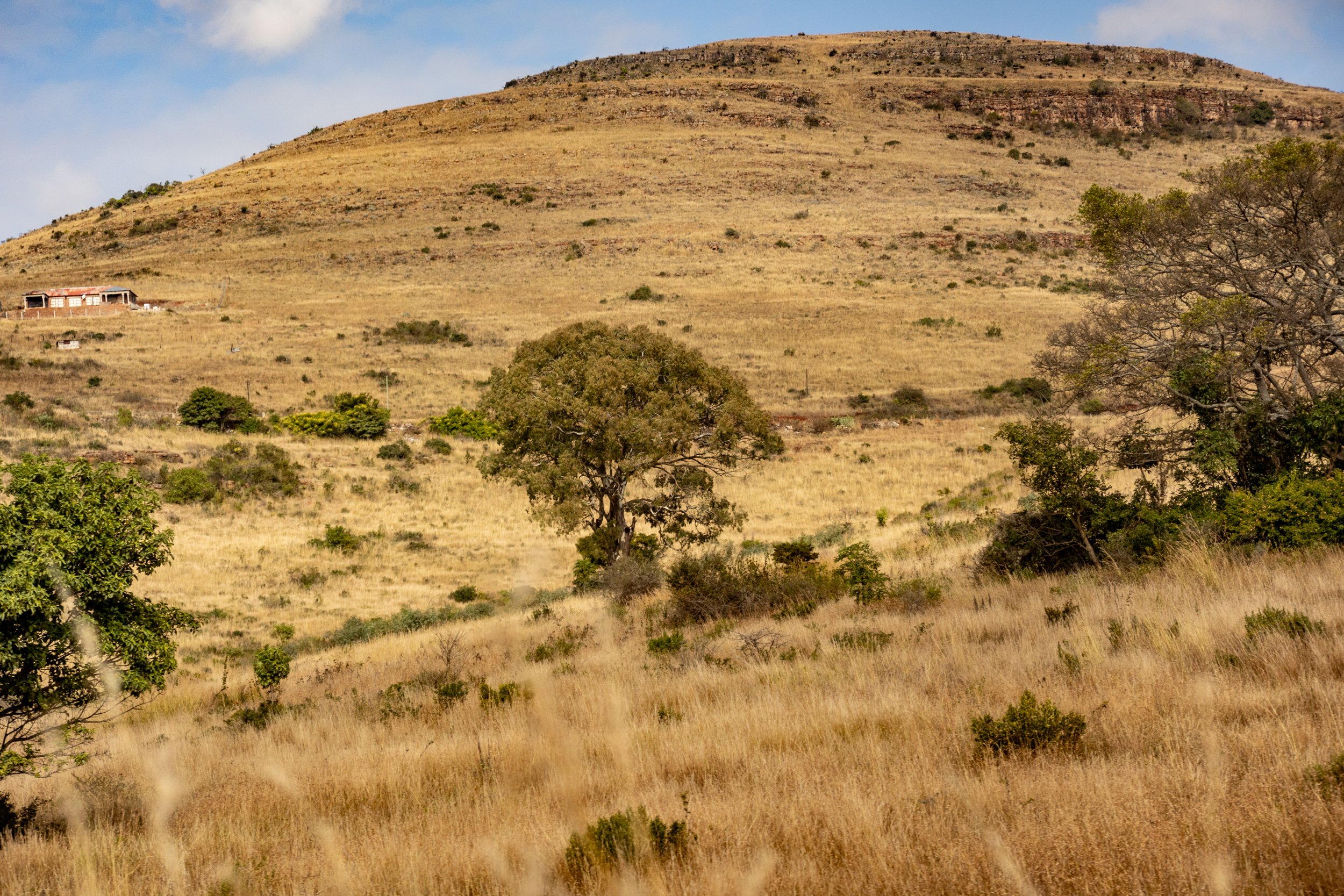 Zuid Afrika grand tour 2026-20.jpg