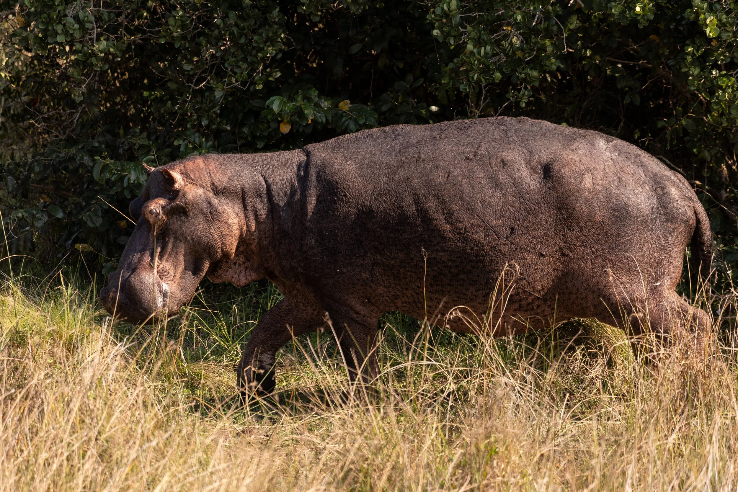Zuid Afrika grand tour 2026-154.jpg