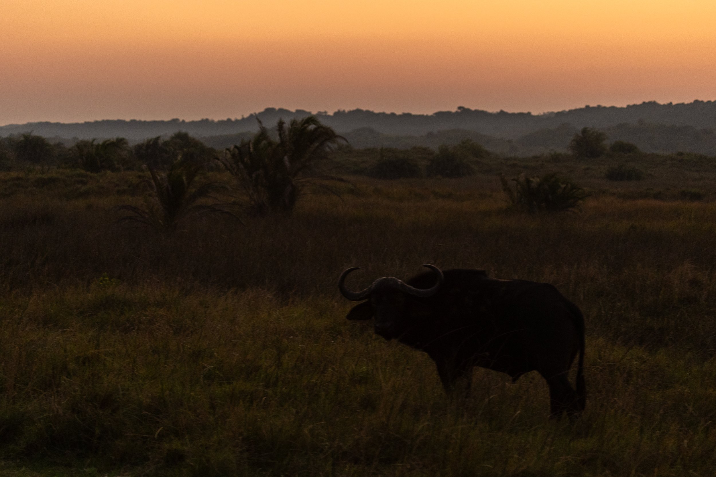 Zuid Afrika grand tour 2026-119.jpg