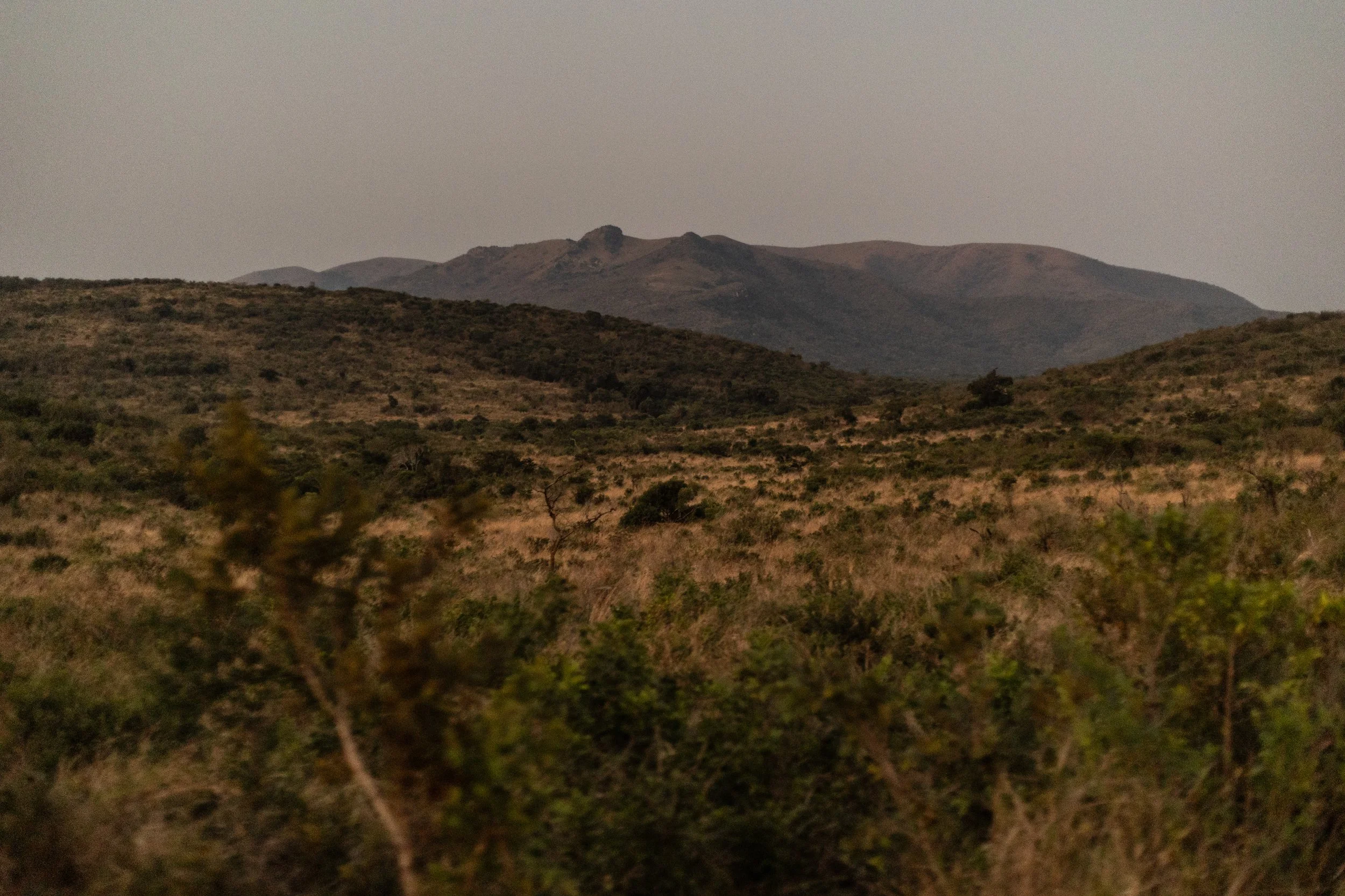 Zuid Afrika grand tour 2026-118.jpg