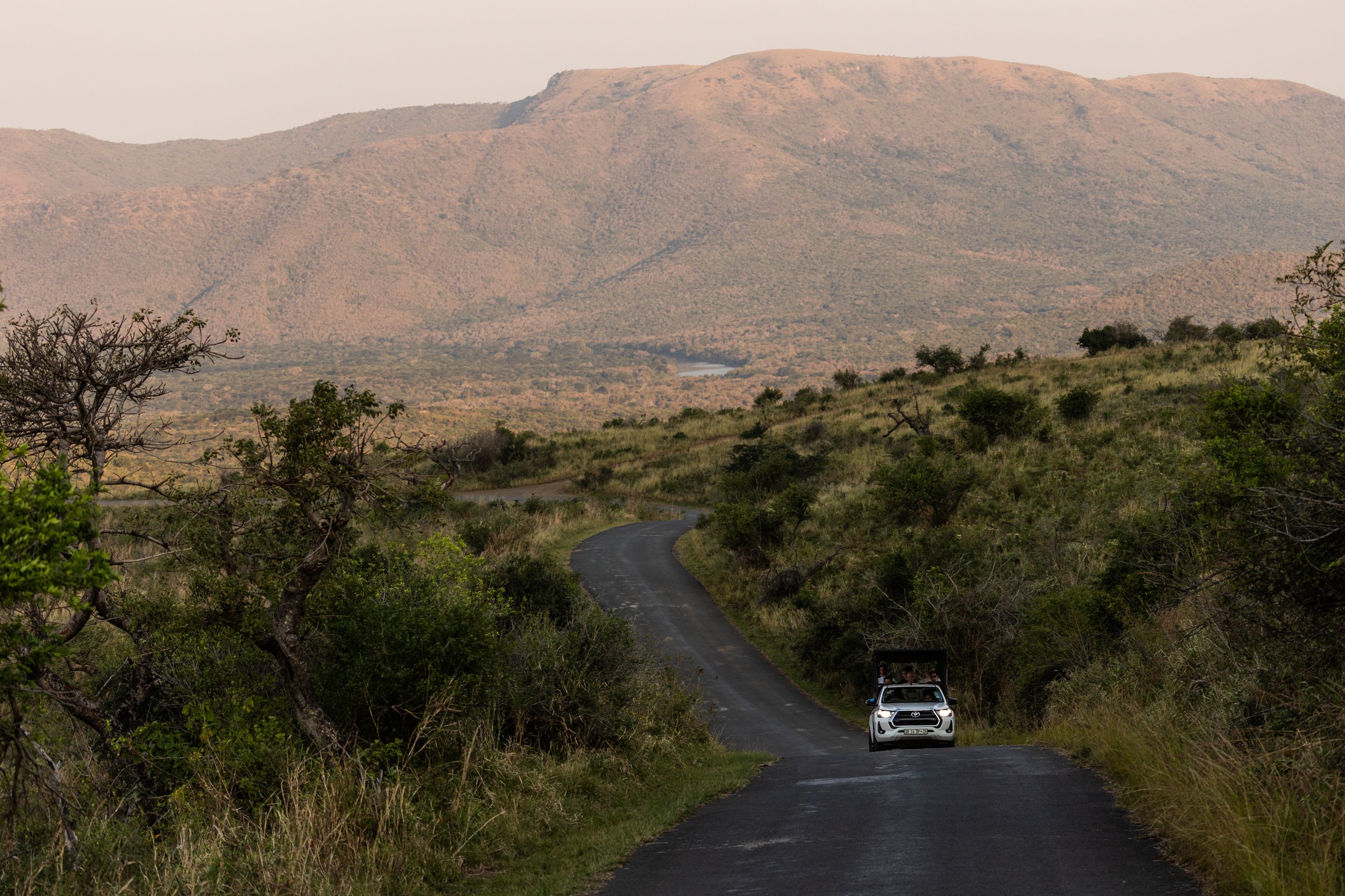 Zuid Afrika grand tour 2026-110.jpg