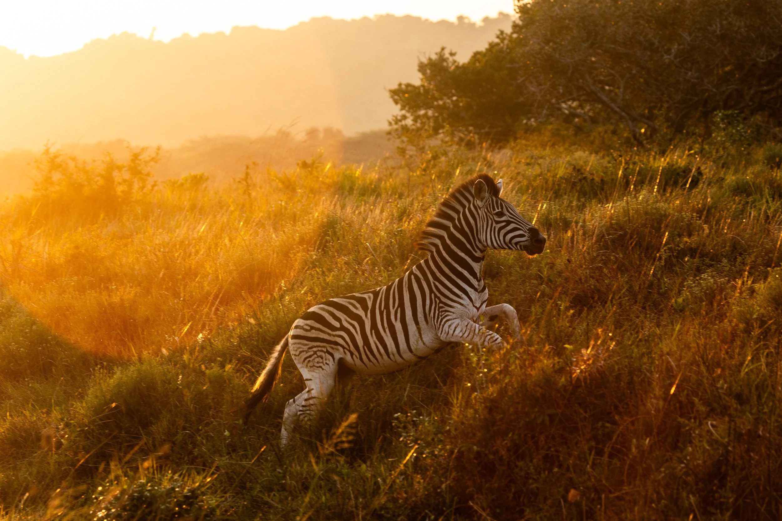 Zuid Afrika grand tour 2026-131.jpg