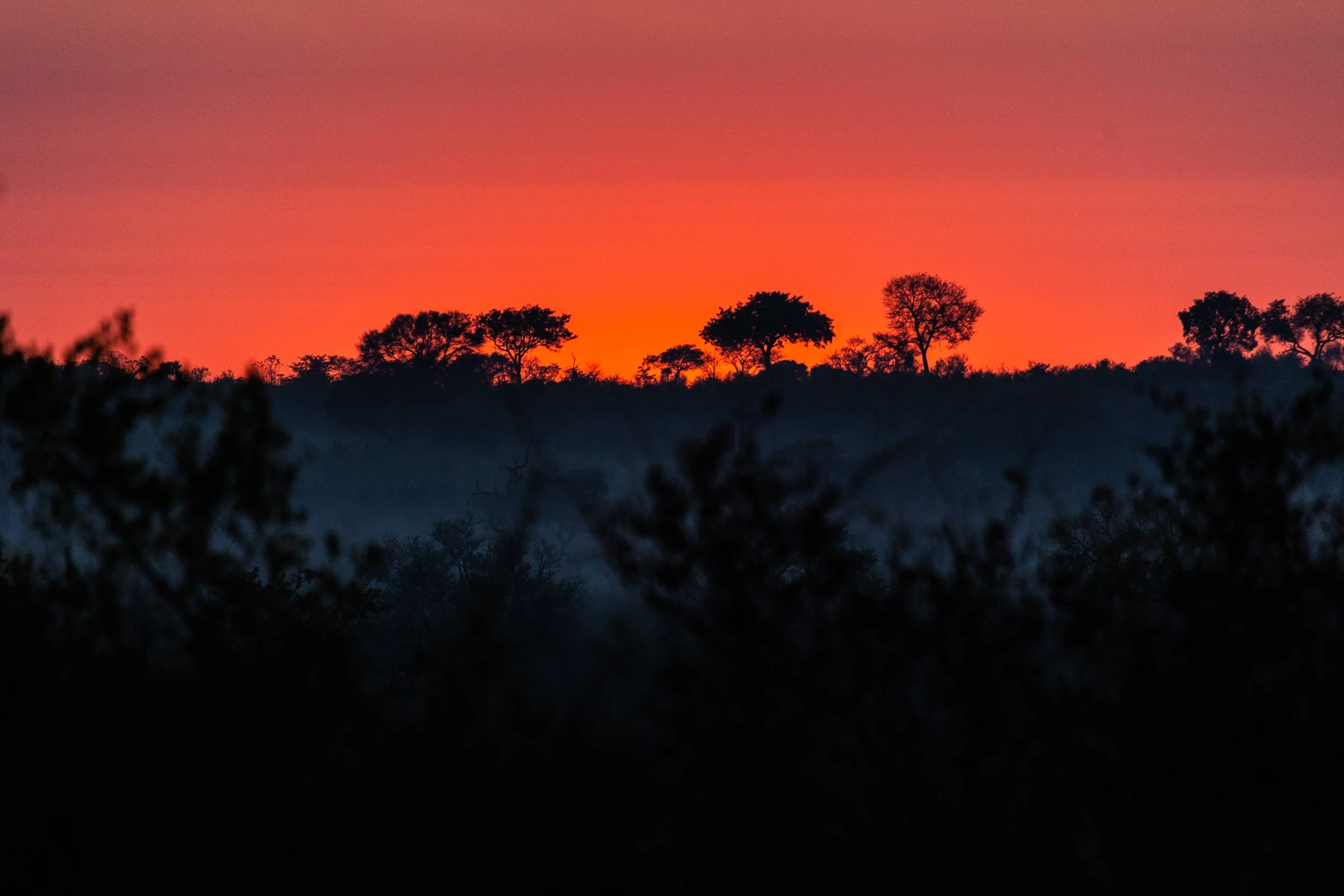 Zuid Afrika grand tour 2026-38.jpg
