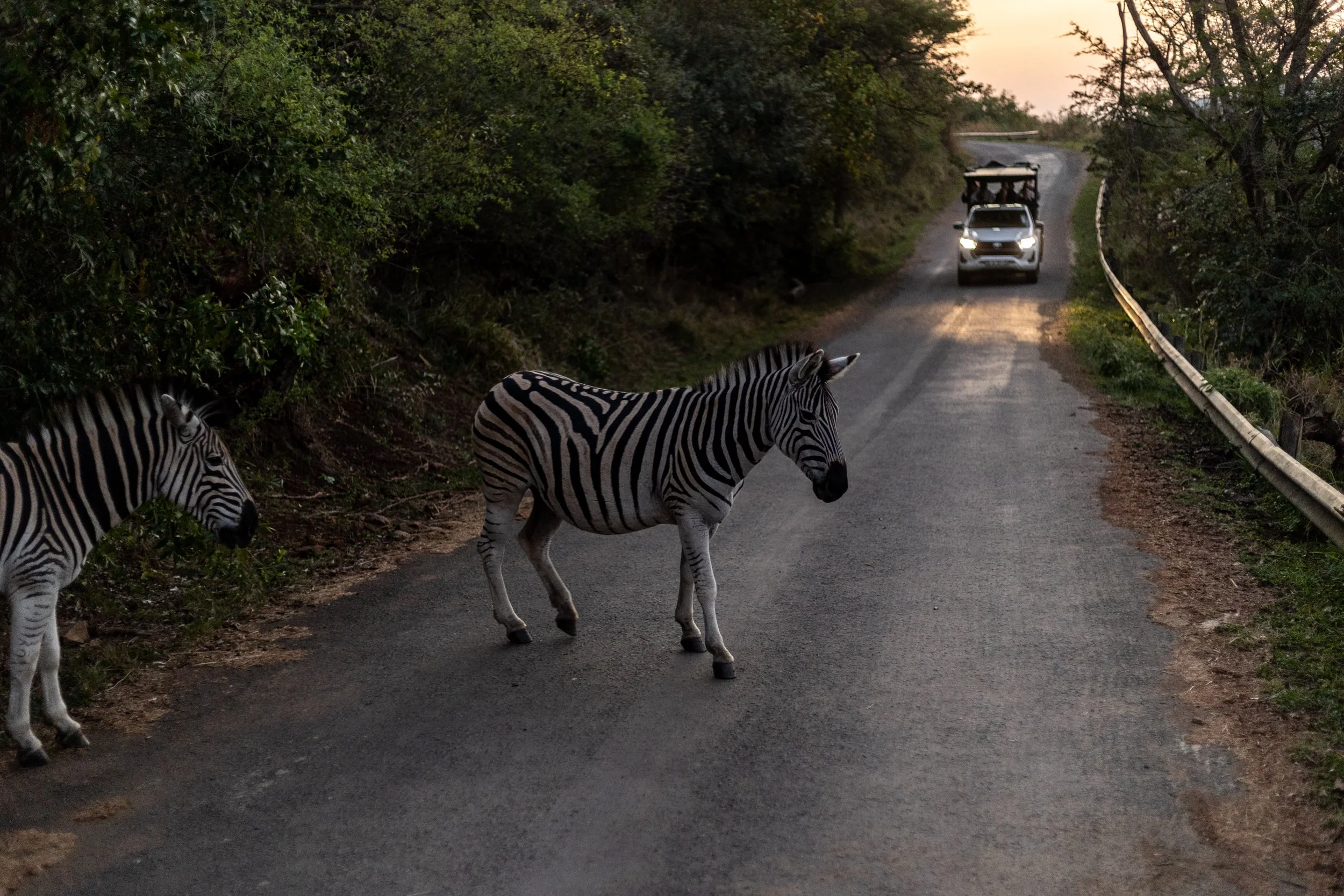 Zuid Afrika grand tour 2026-117.jpg