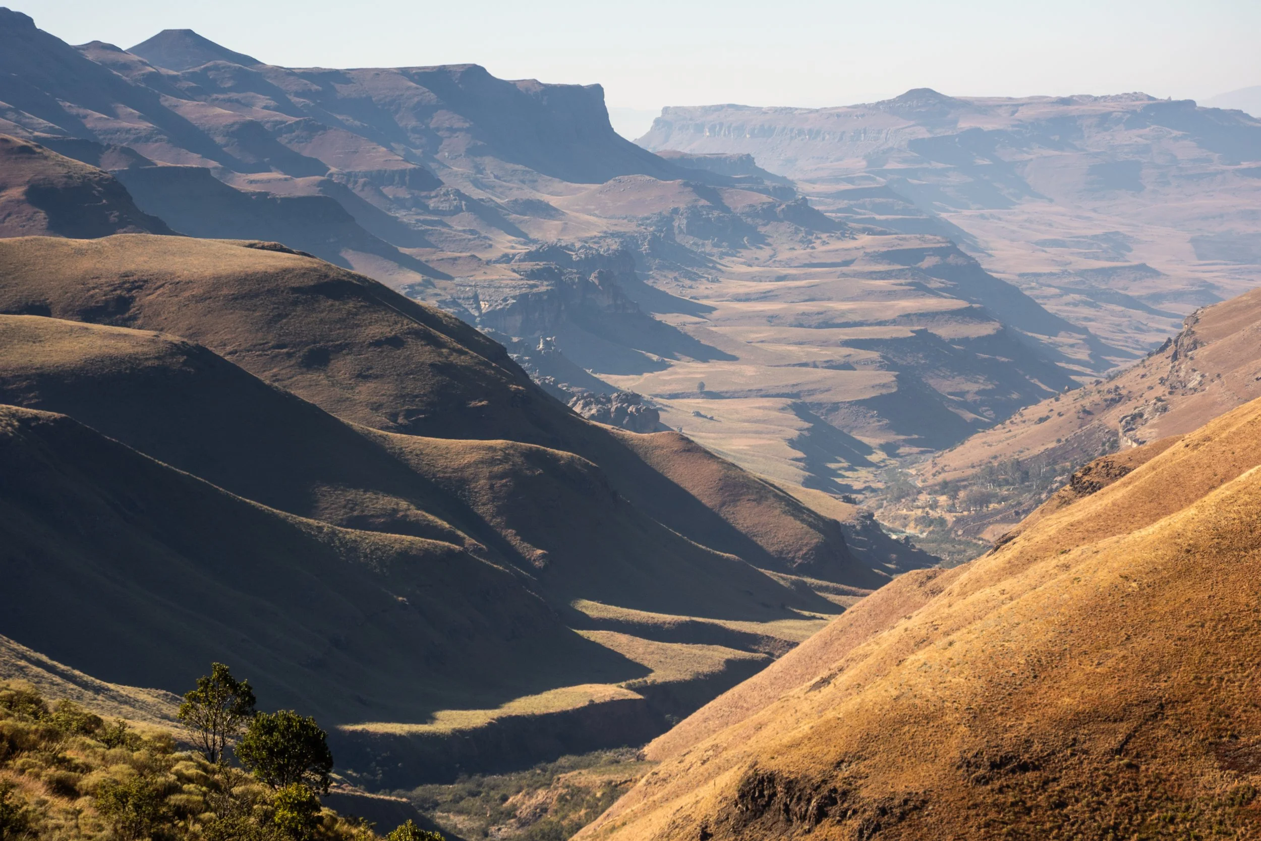 Zuid Afrika grand tour 2026-178.jpg