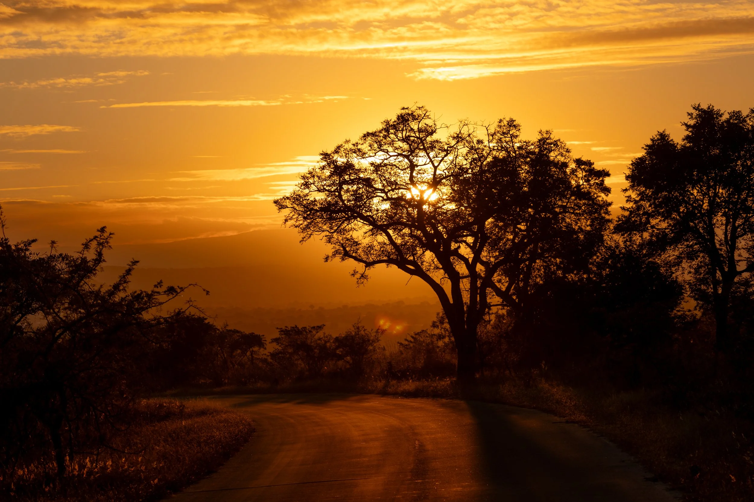 Zuid Afrika grand tour 2026-7.jpg