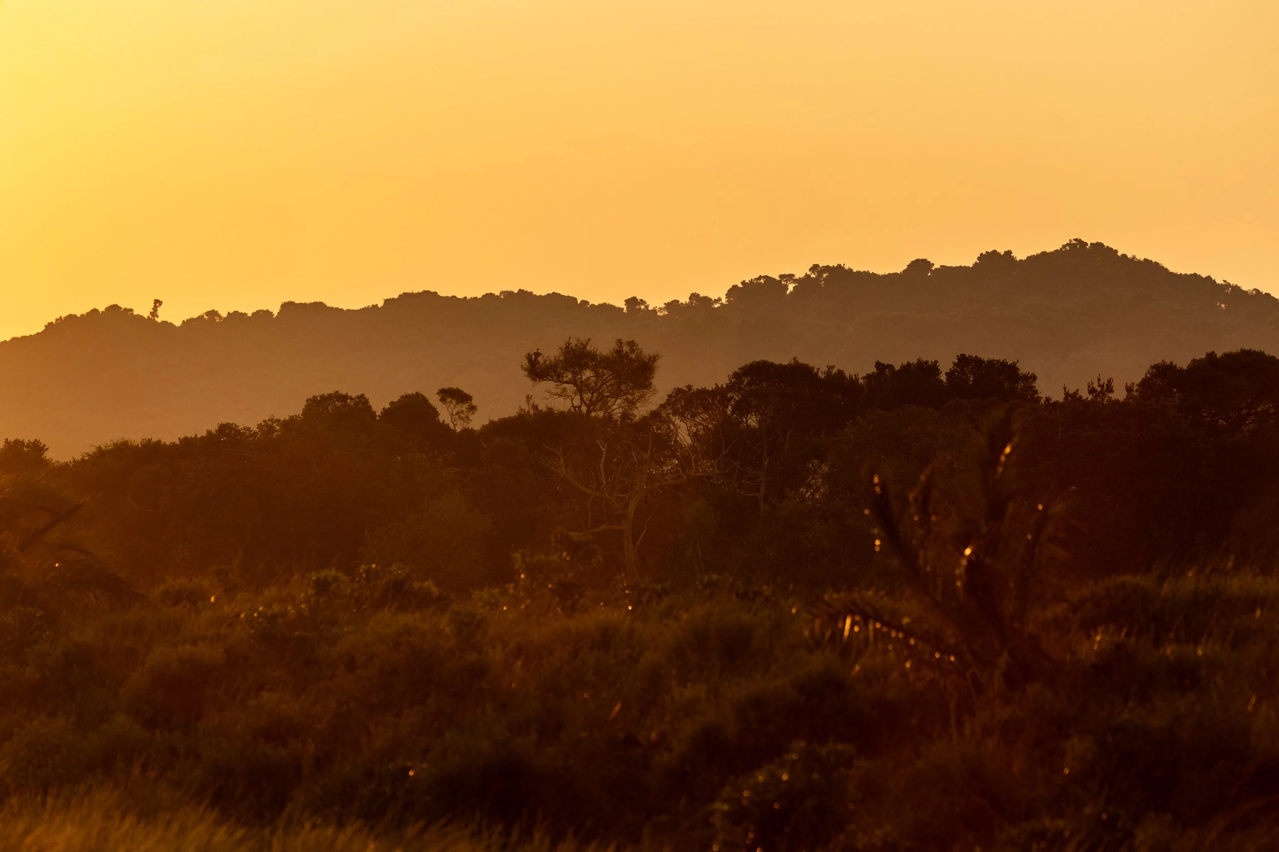 Zuid Afrika grand tour 2026-126.jpg