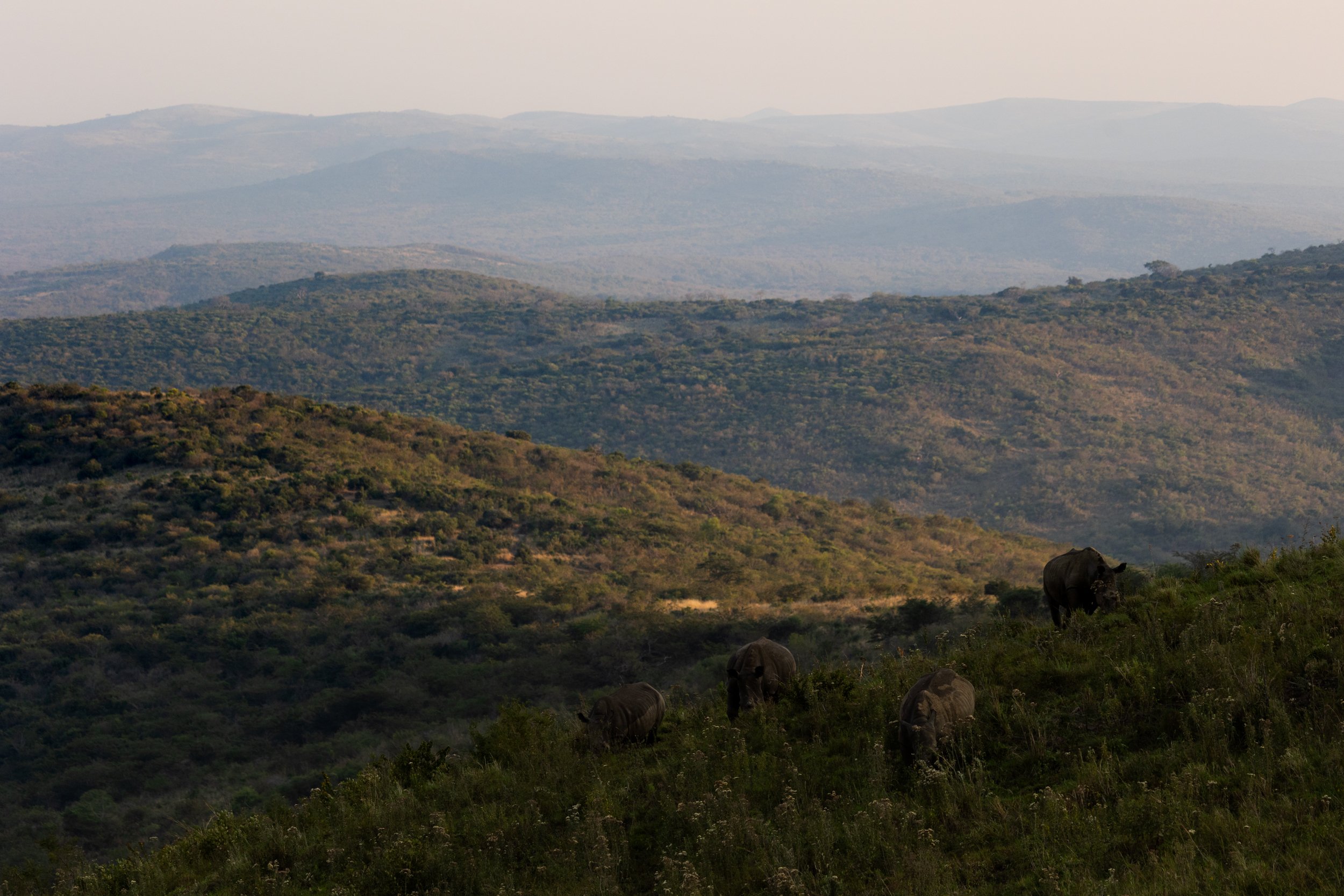 Zuid Afrika grand tour 2026-112.jpg