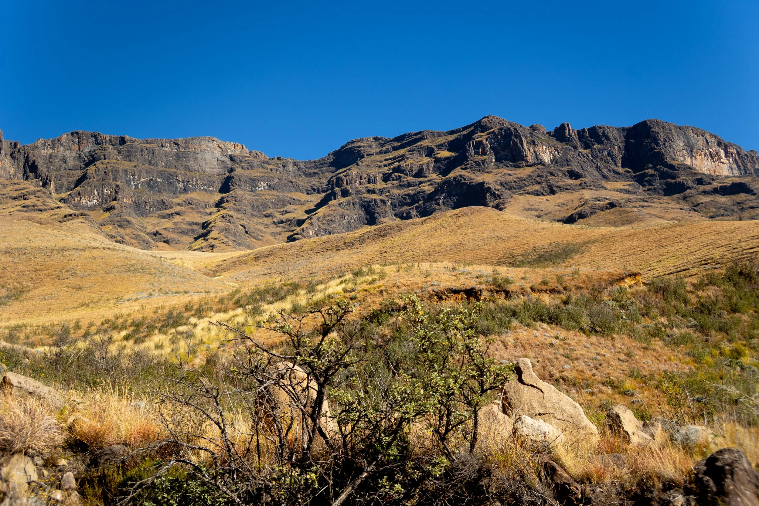 Zuid Afrika grand tour 2026-170.jpg