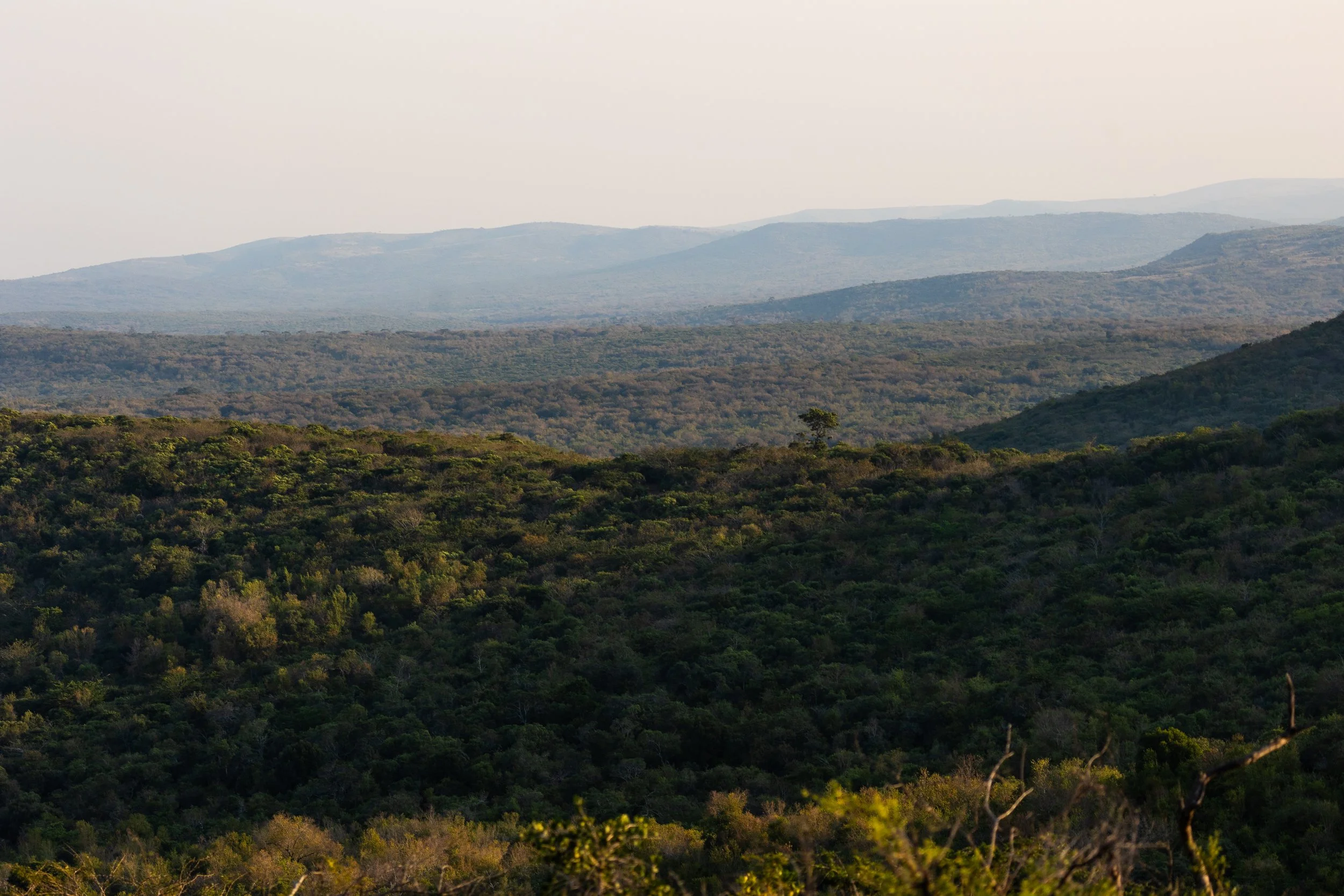 Zuid Afrika grand tour 2026-108.jpg
