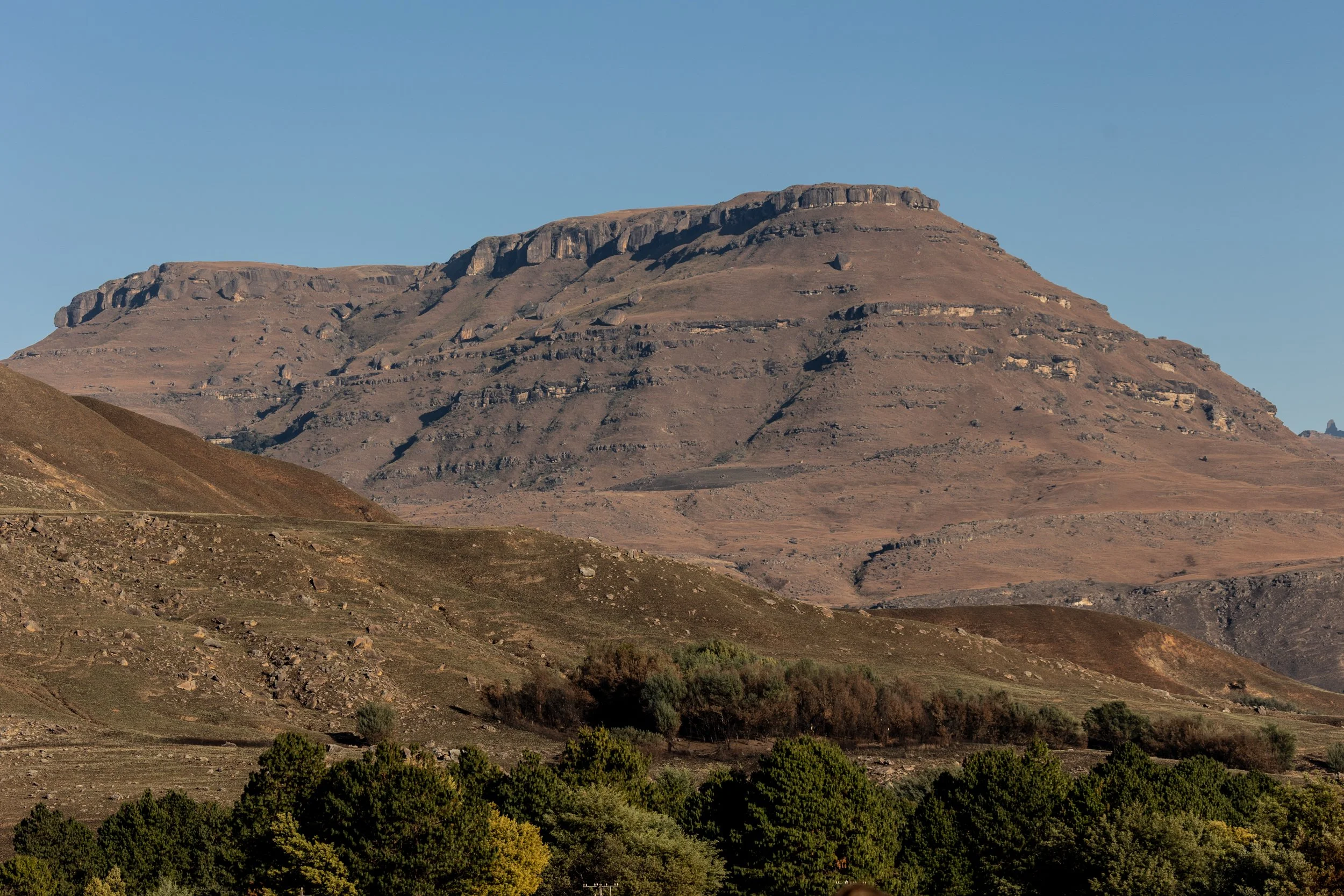 Zuid Afrika grand tour 2026-165.jpg
