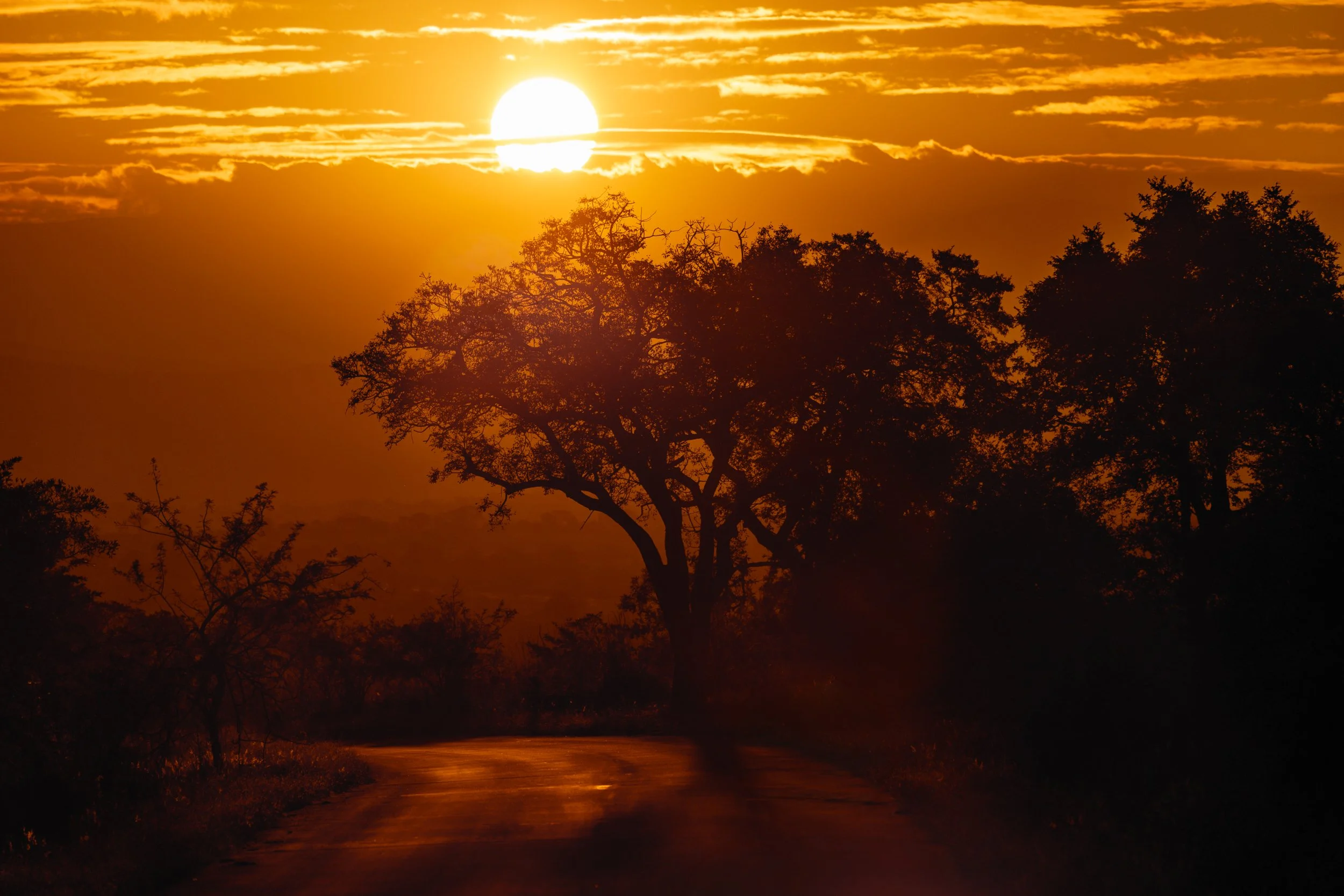 Zuid Afrika grand tour 2026-8.jpg