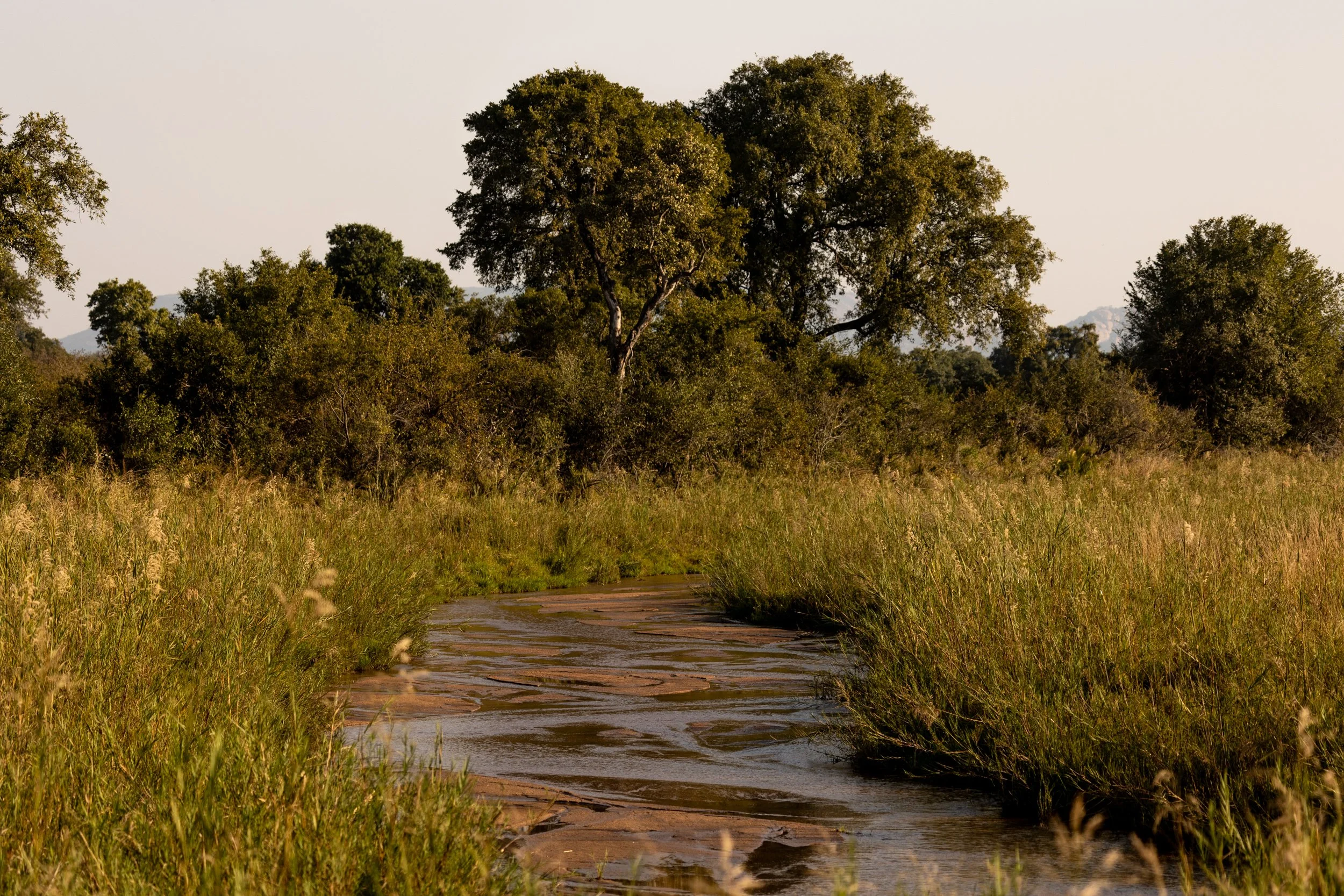 Zuid Afrika grand tour 2026-74.jpg