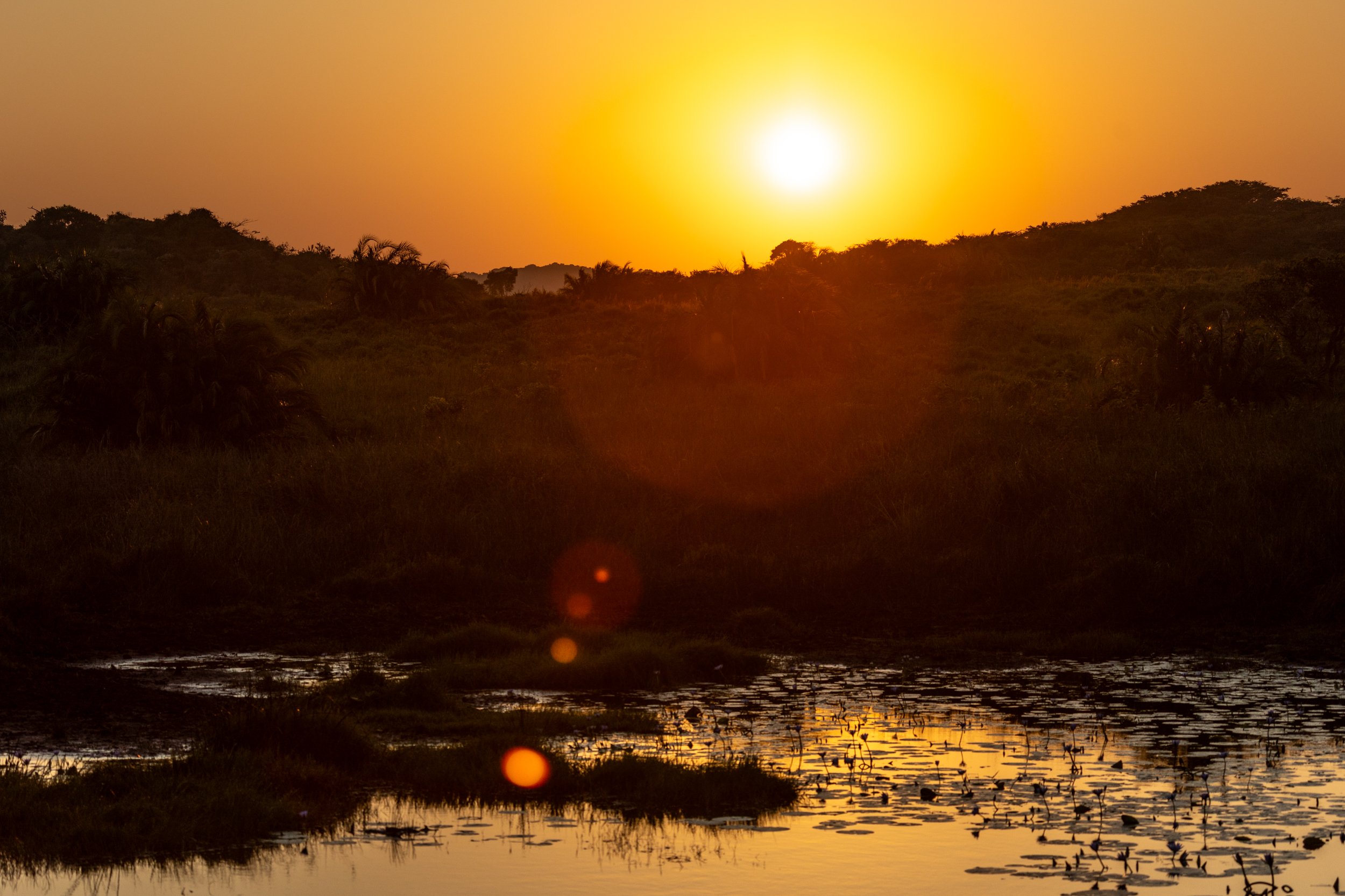 Zuid Afrika grand tour 2026-125.jpg