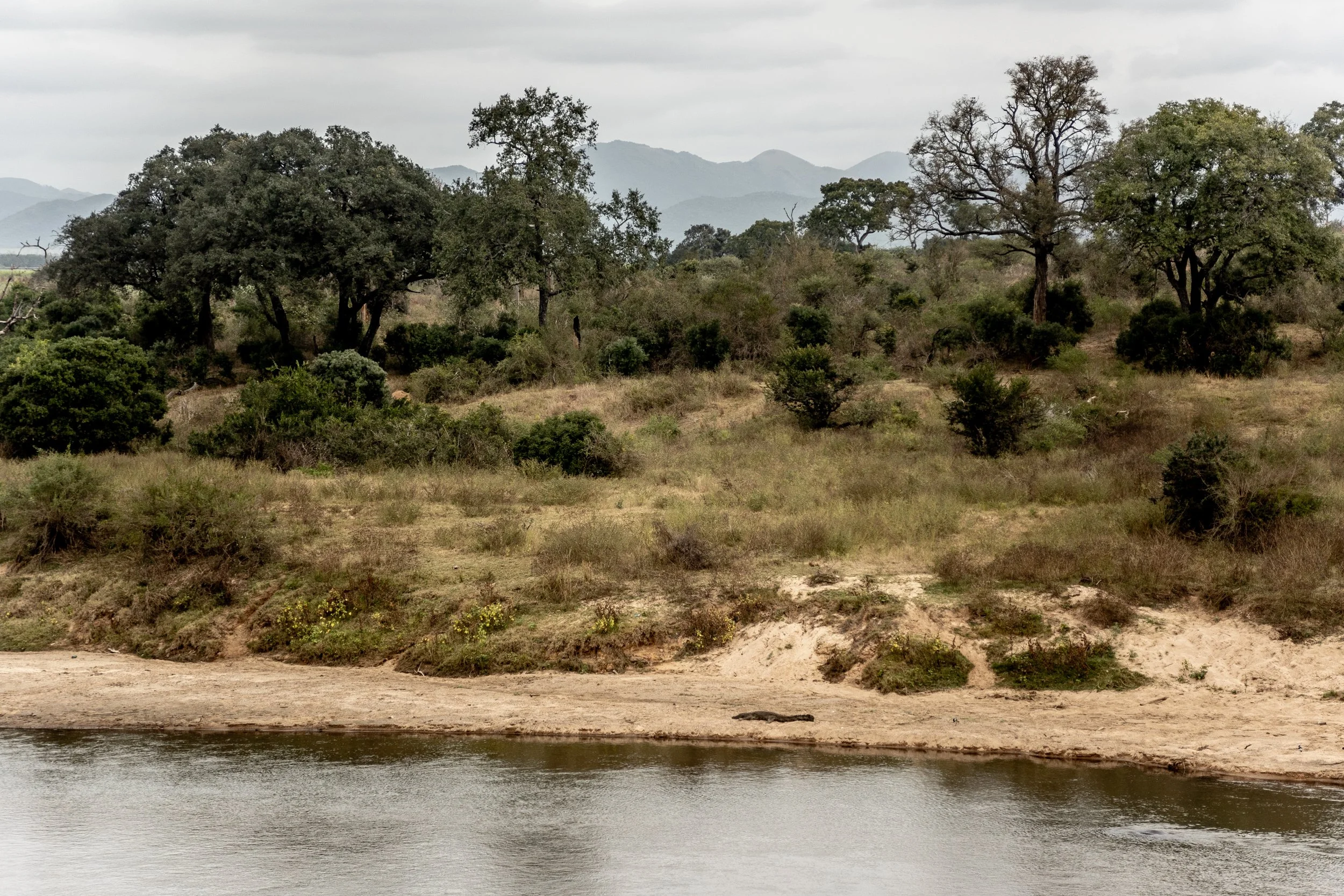 Zuid Afrika grand tour 2026-85.jpg