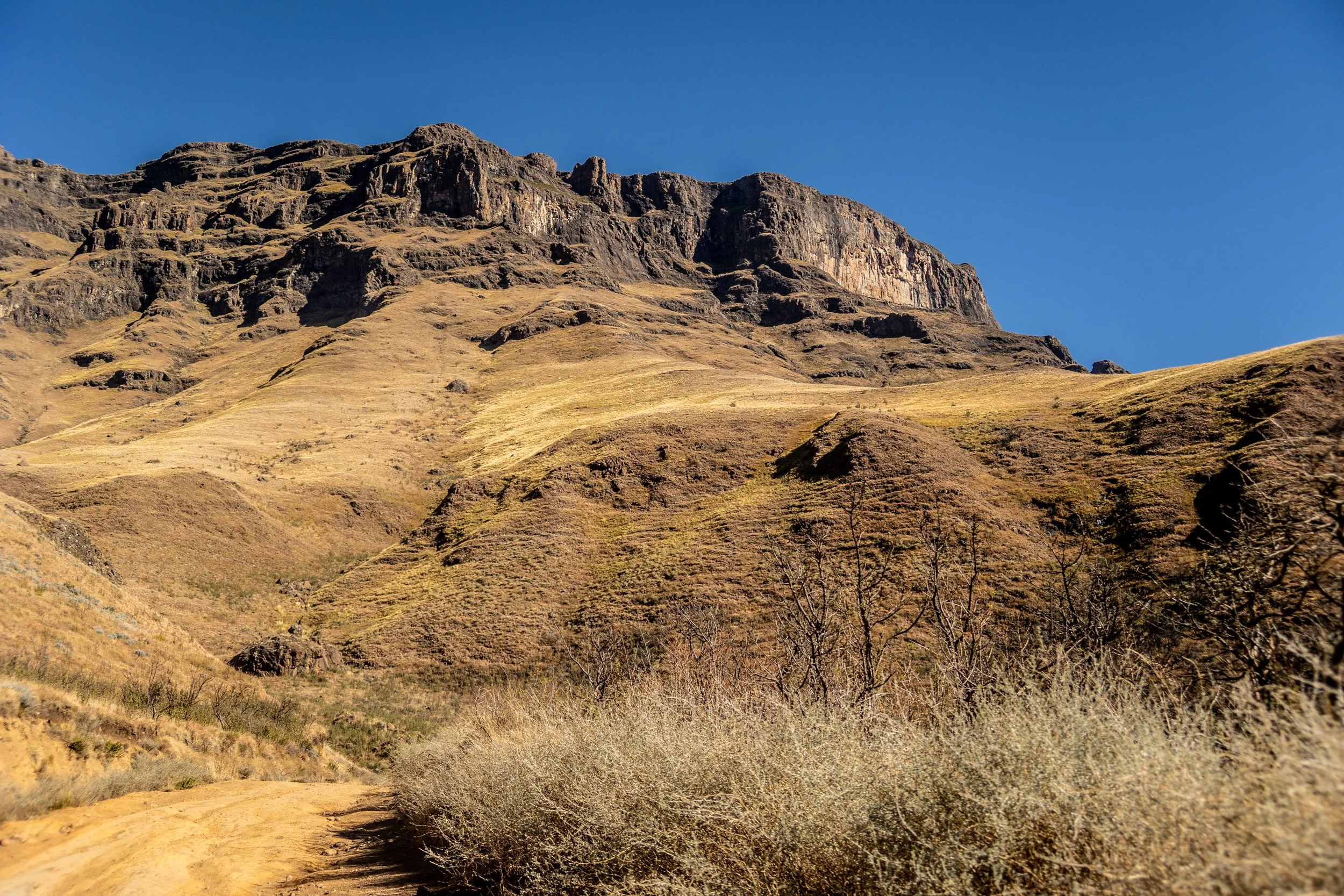 Zuid Afrika grand tour 2026-174.jpg