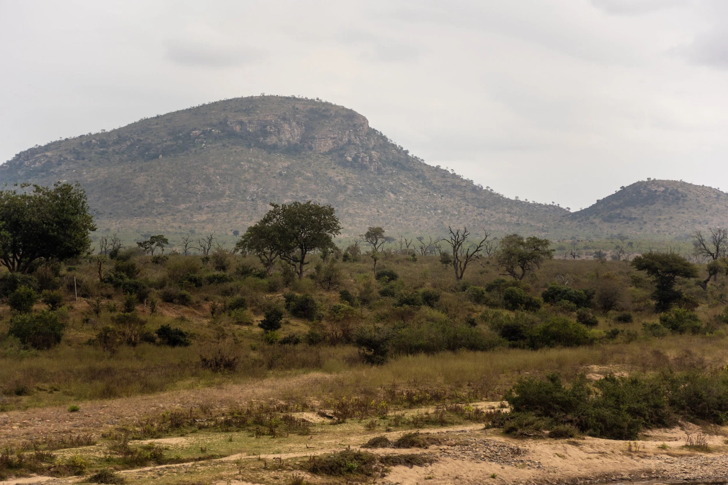 Zuid Afrika grand tour 2026-84.jpg