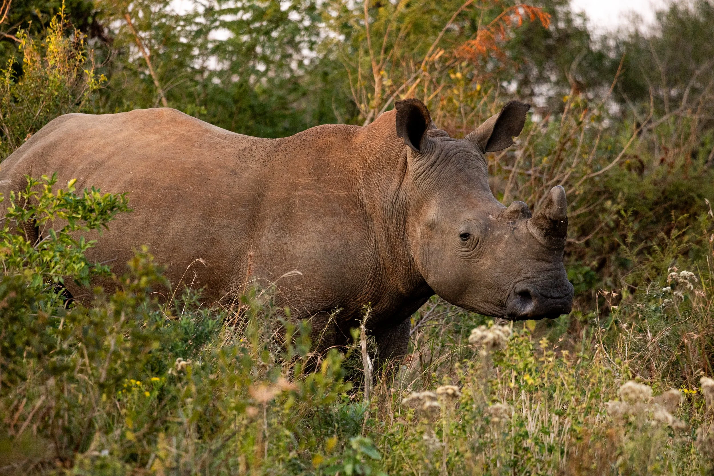 Zuid Afrika grand tour 2026-115.jpg