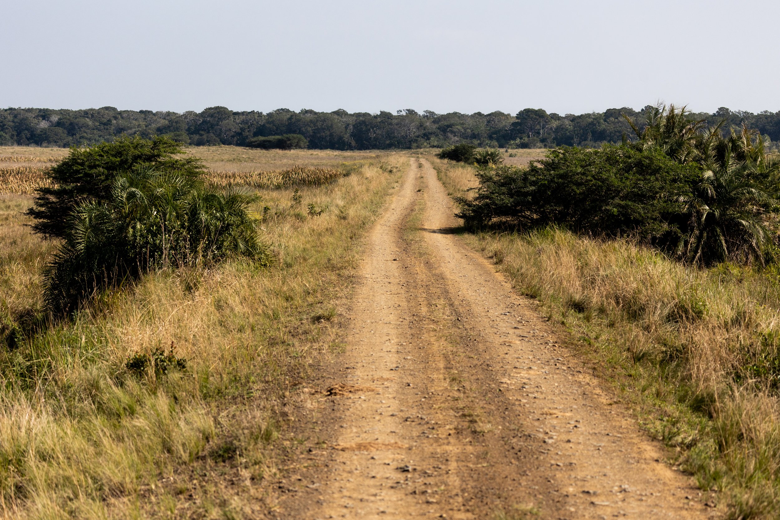 Zuid Afrika grand tour 2026-156.jpg