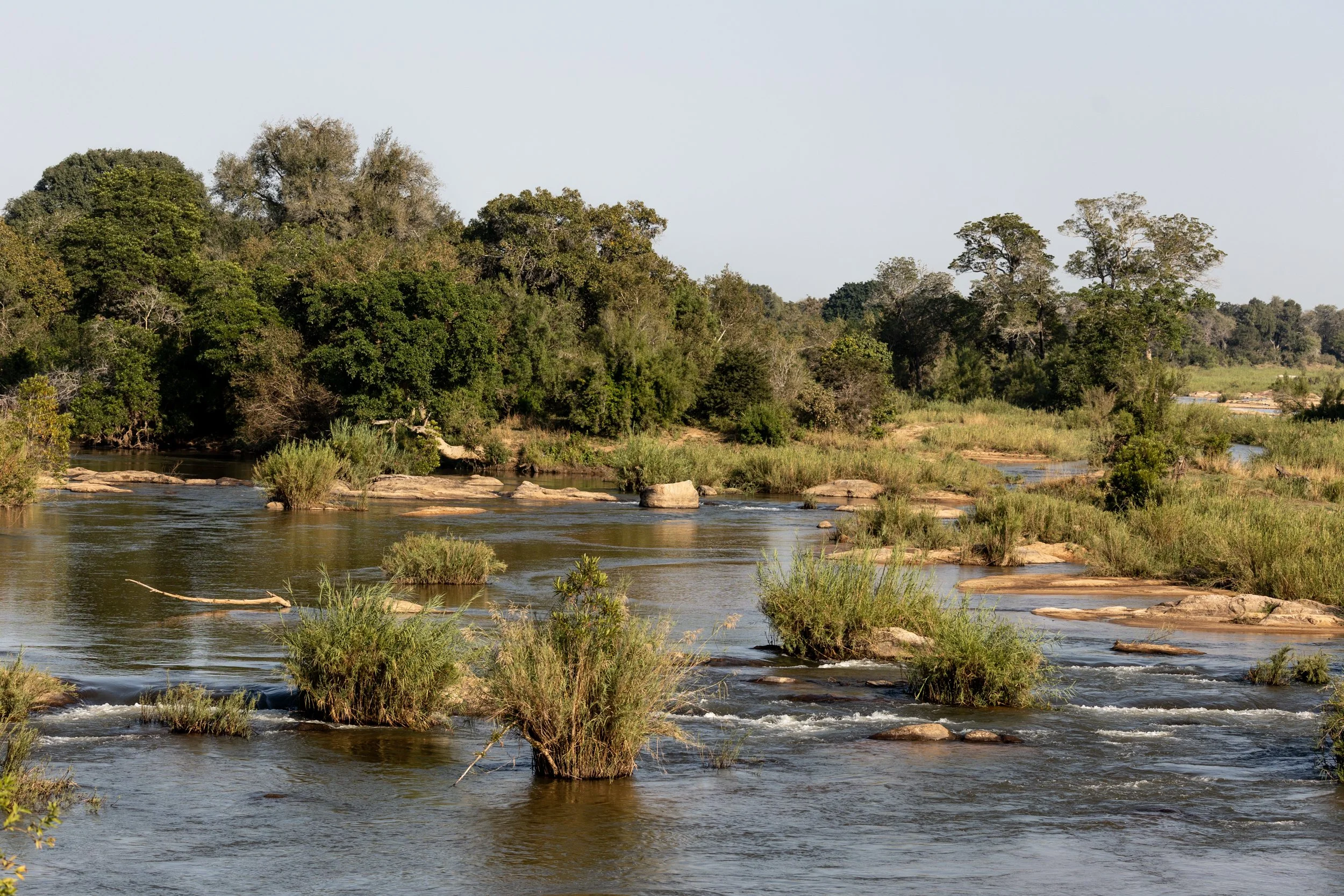 Zuid Afrika grand tour 2026-58.jpg