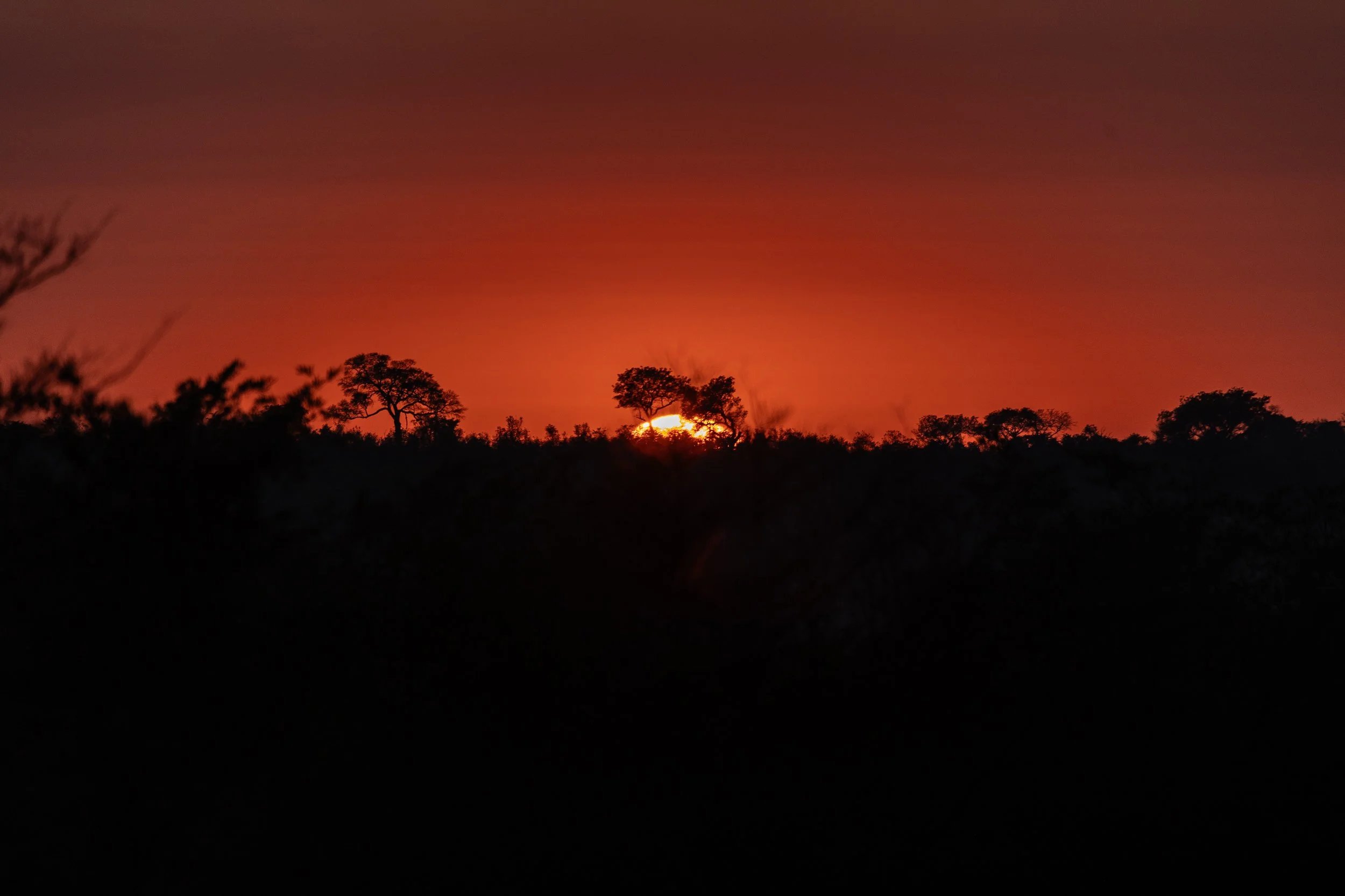 Zuid Afrika grand tour 2026-39.jpg