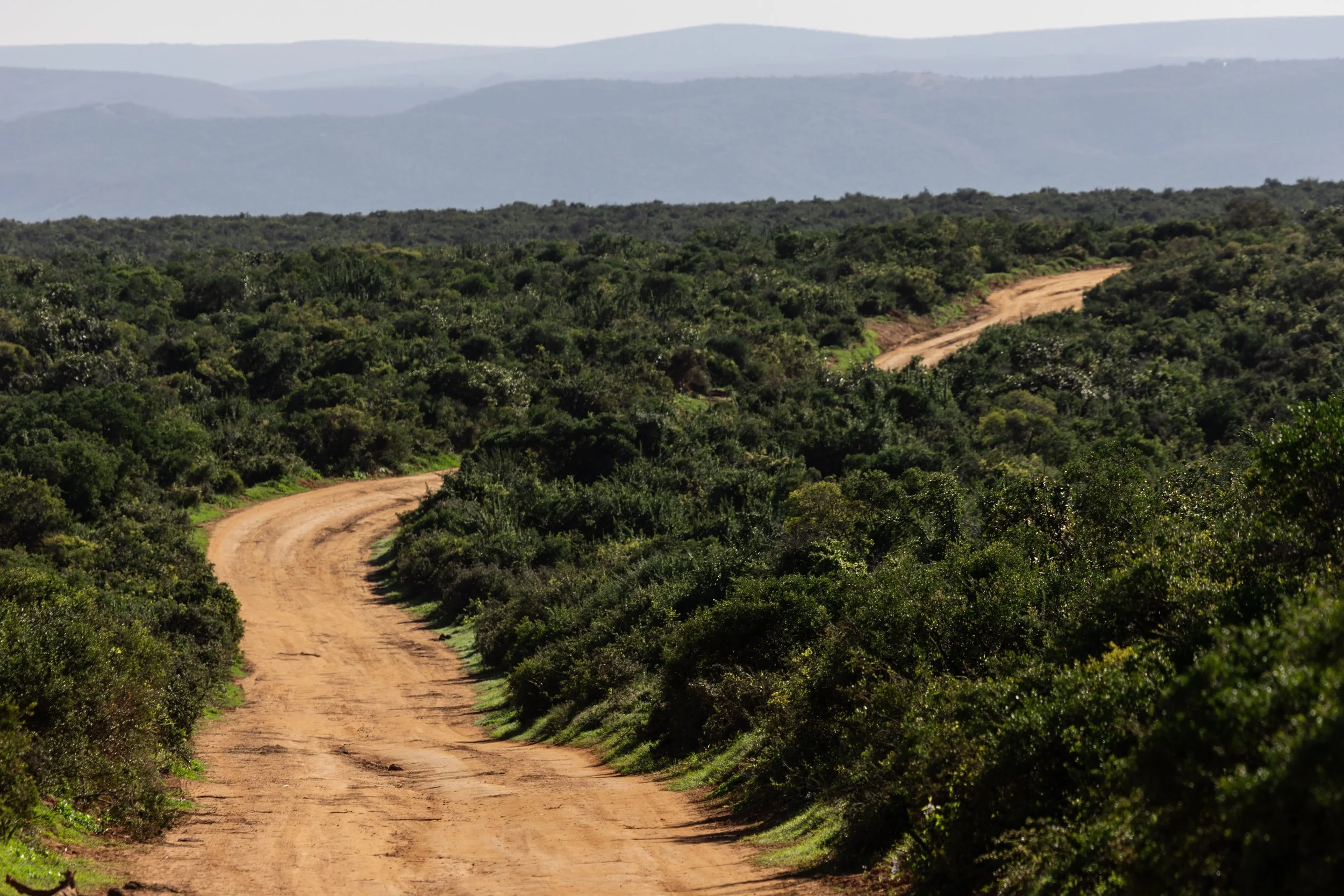 Zuid Afrika grand tour 2026-198.jpg