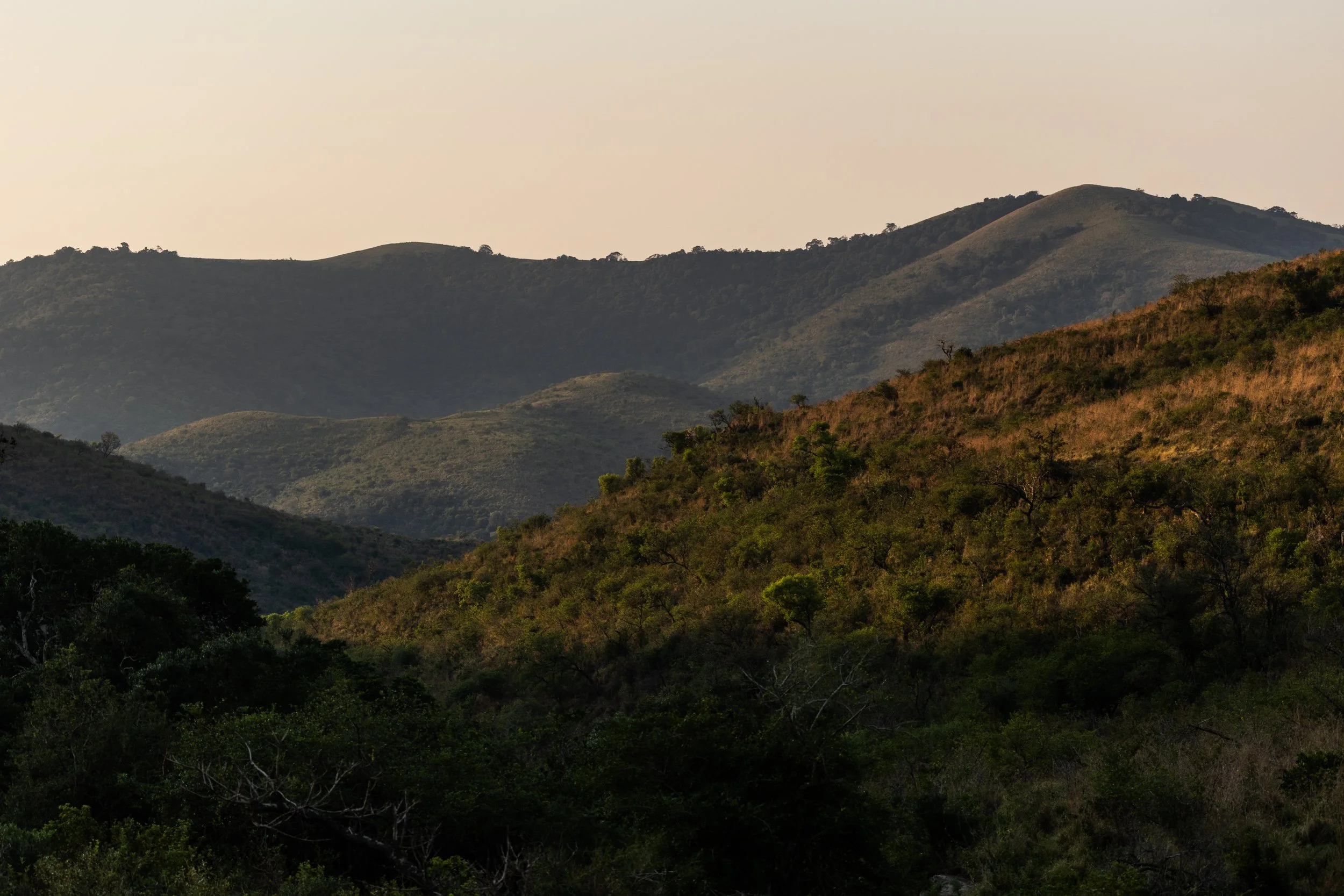 Zuid Afrika grand tour 2026-109.jpg