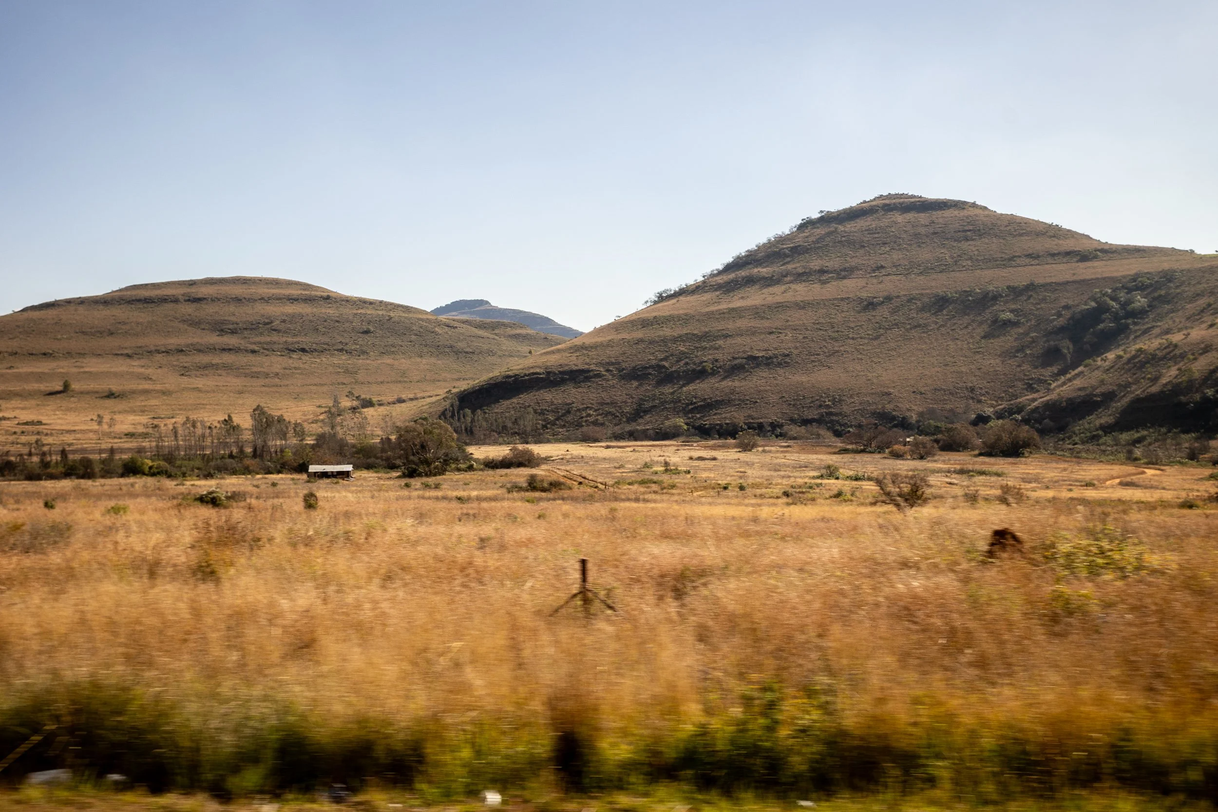 Zuid Afrika grand tour 2026-34.jpg