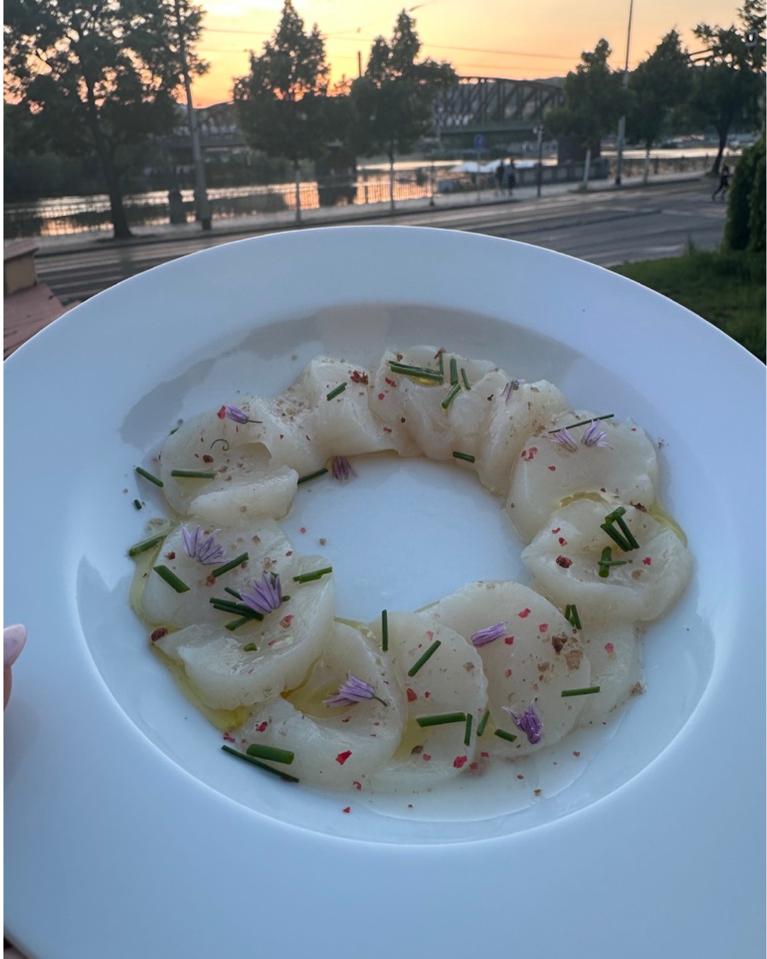 Mariko_Presents_Scallop_Sashimi.png
