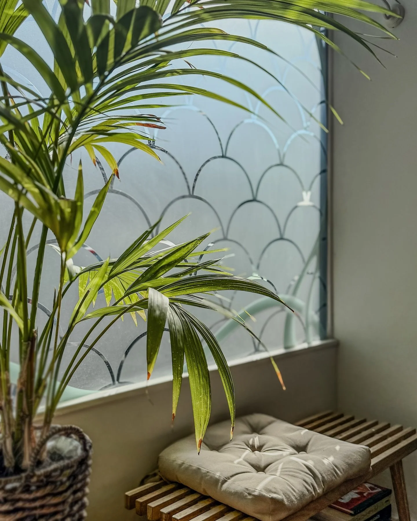 ✣ Bonjour Septembre 🍂 

Merci &agrave; toutes et tous pour vos belles demandes de projets pour cette rentr&eacute;e 🧡

J&rsquo;ai plein de nouveaux tatouages &agrave; vous montrer, j&rsquo;ai h&acirc;te de partager tout &ccedil;a avec vous !

📩 Vo