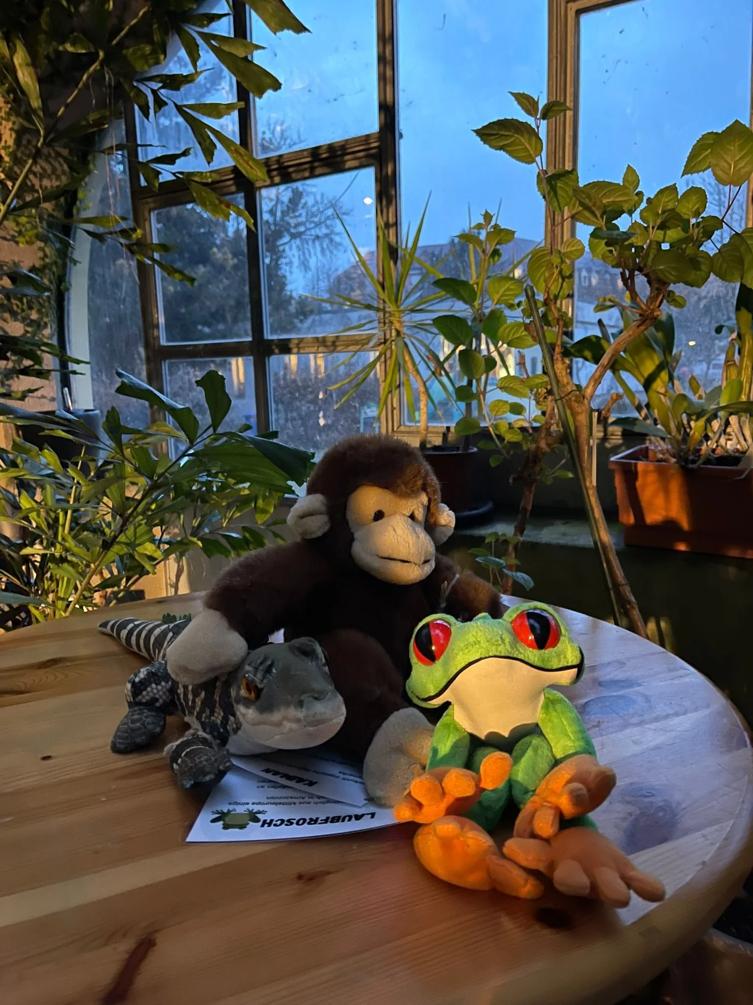 WhatsApp Image 2026-02-03 at 13.32.06.jpeg