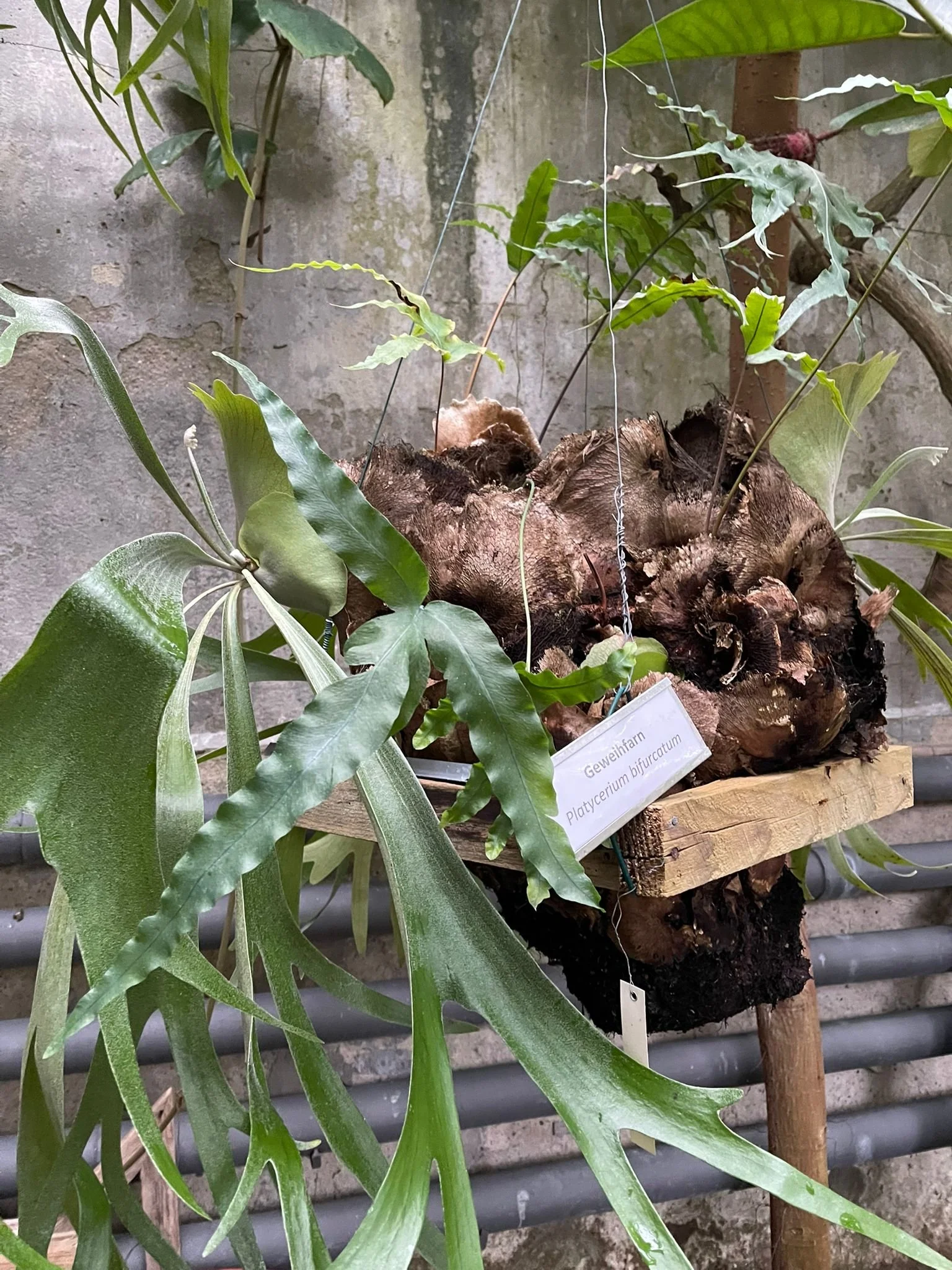 WhatsApp Image 2026-02-03 at 13.32.09.jpeg