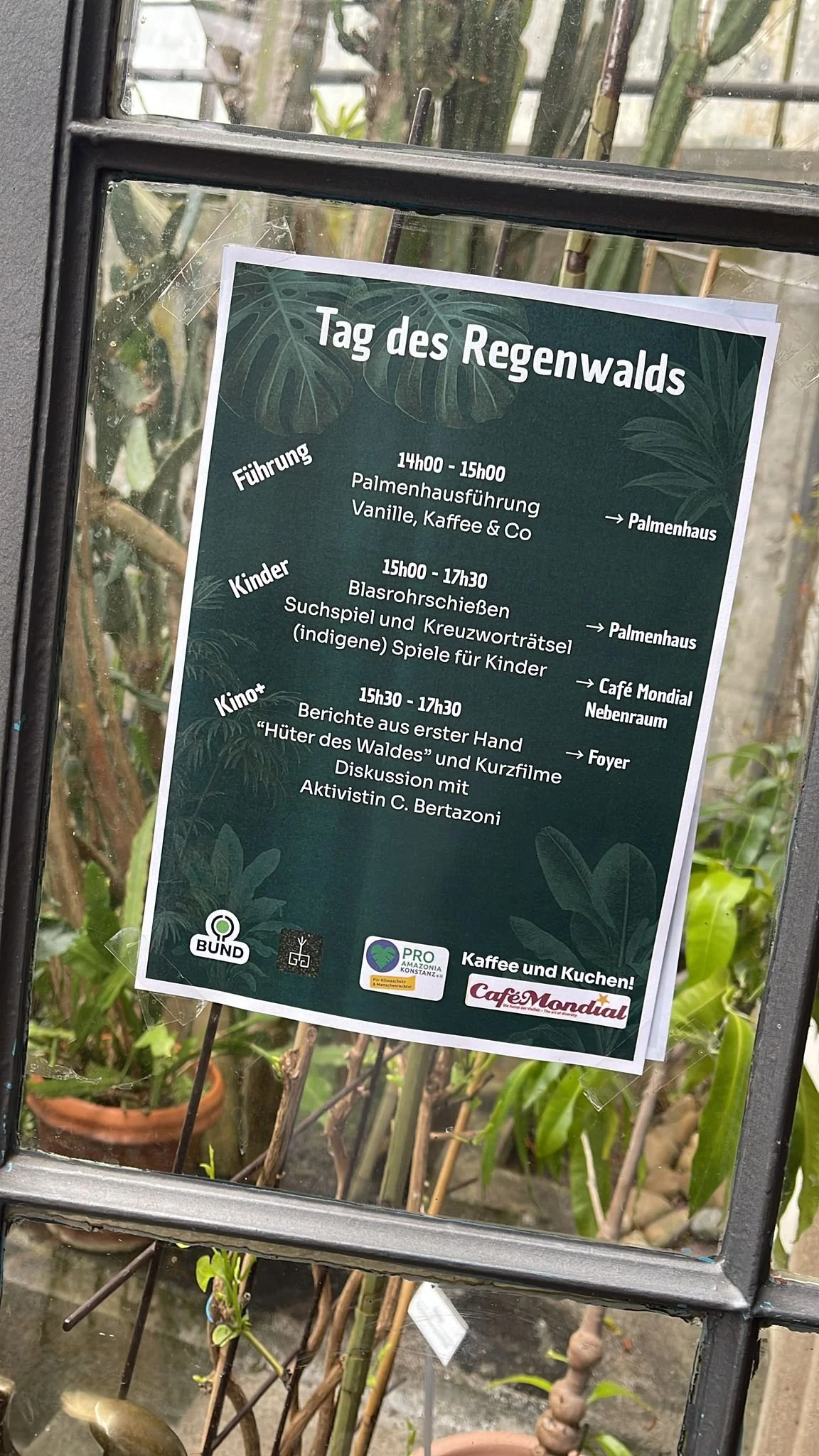 WhatsApp Image 2026-02-03 at 13.32.11 (1).jpeg