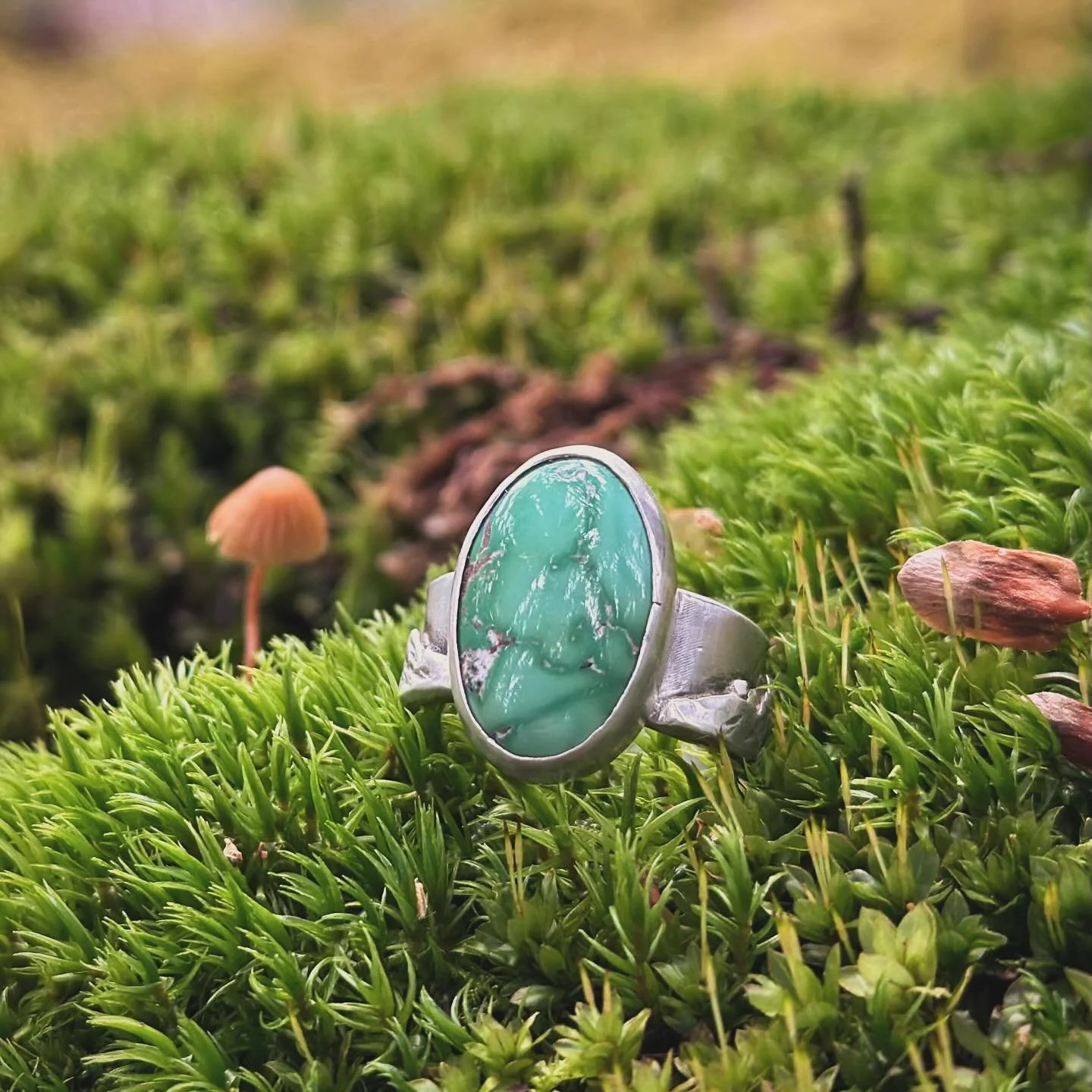 A friend recently lent me &lsquo;Gathering Moss&rsquo; by Robin Wall Kimmerer. Her writing, as always, is pure poetry and it&rsquo;s been inspiring me to wander around Revelstoke&rsquo;s mossiest corners before the snow flies. 

&ldquo;There is an an