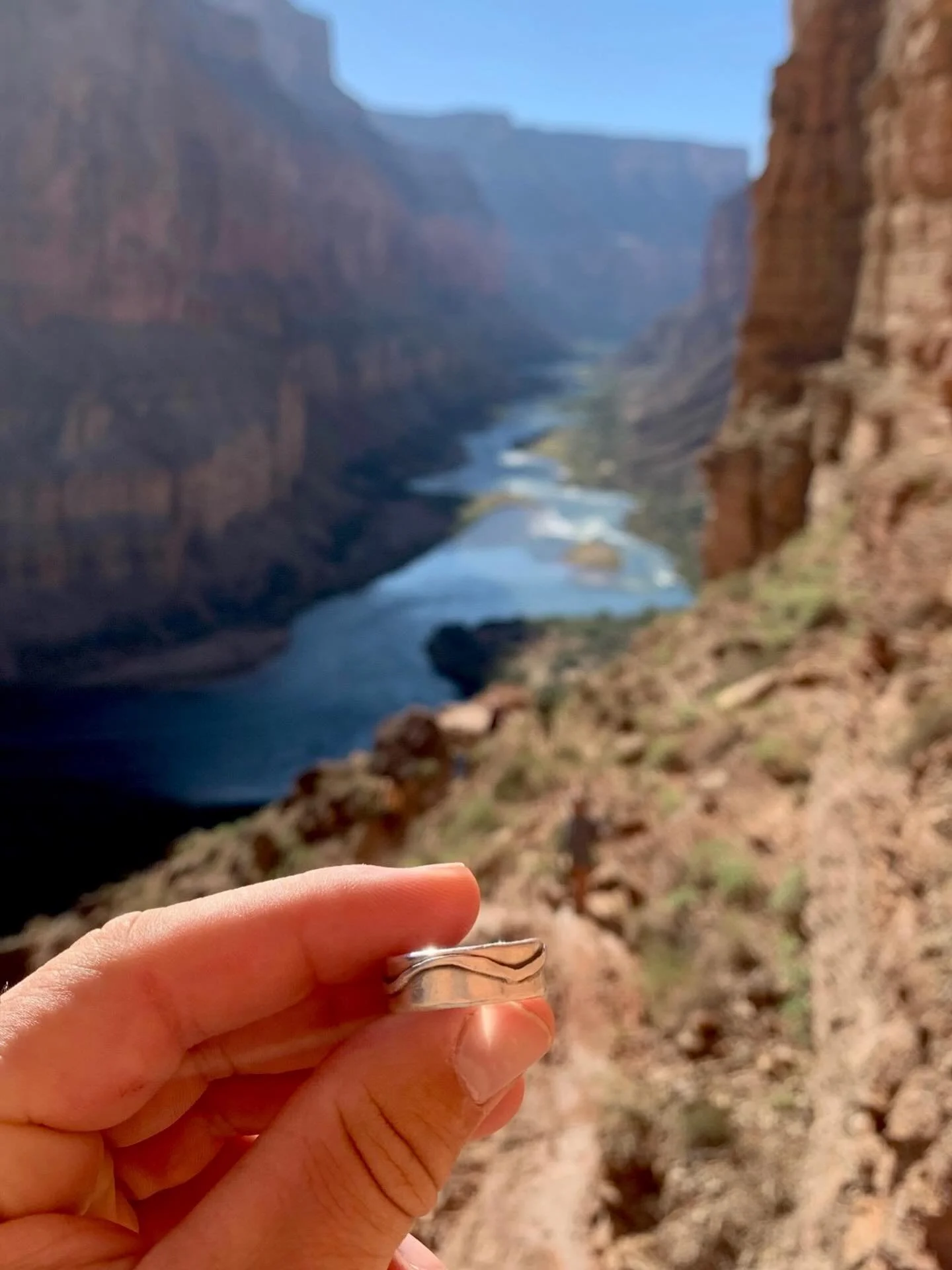 Silver in the wilds 💛

Thanks for the 📷 @sneakyhebrew