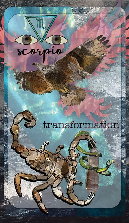 small Scorpio oracle cards.jpg