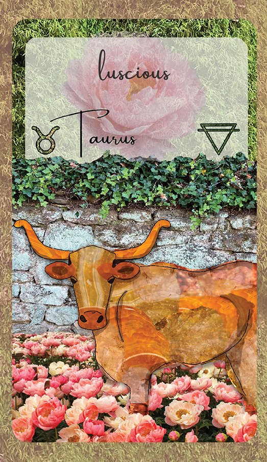 Taurus oracle cards.jpg