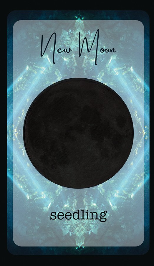 New Moon Oracle Card .jpg