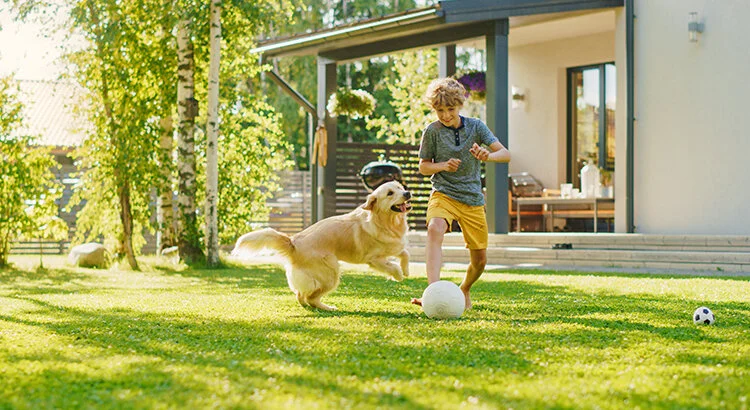 Why This Isn't Your Typical Summer Housing Market